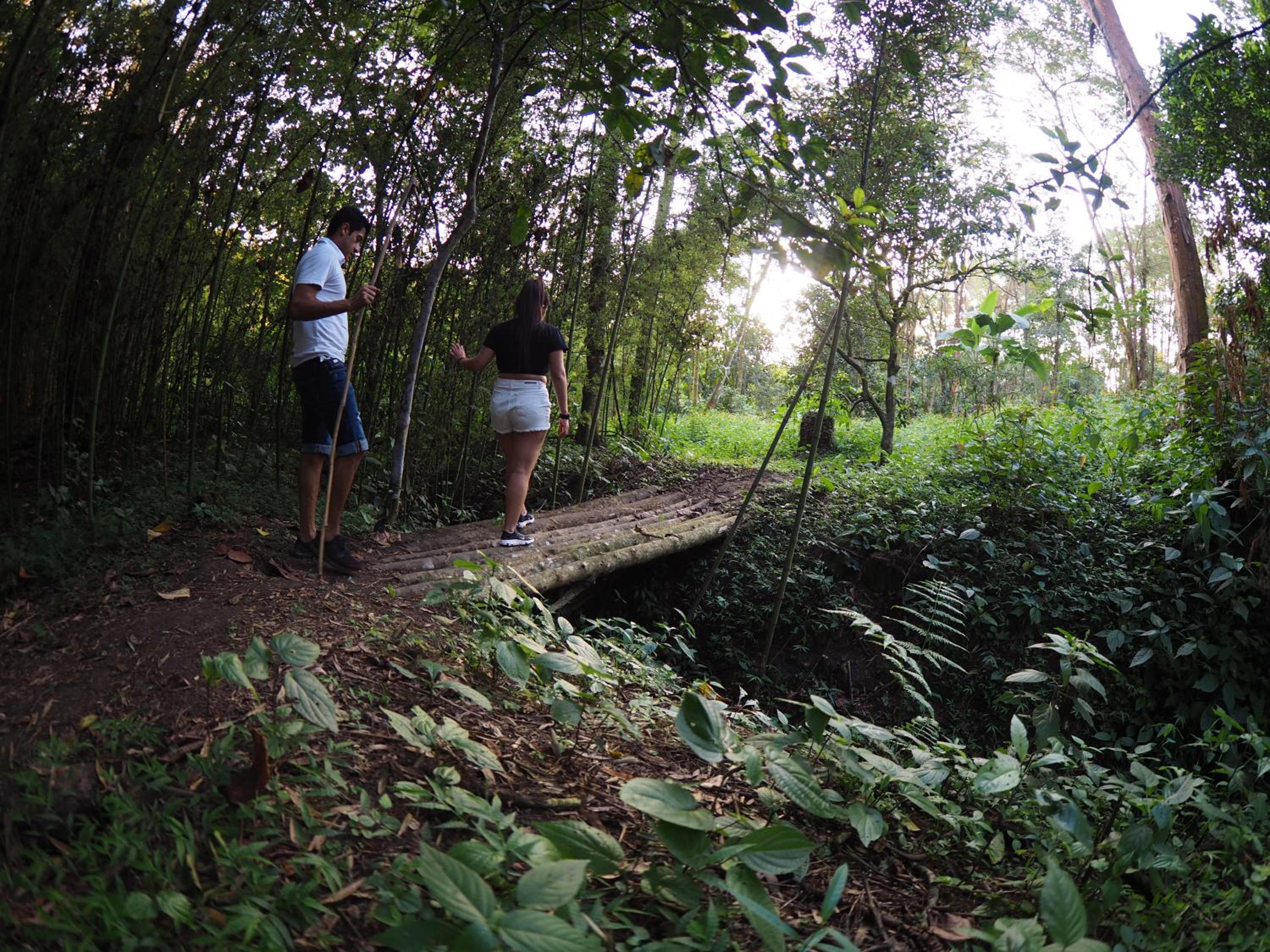 Photo 8
