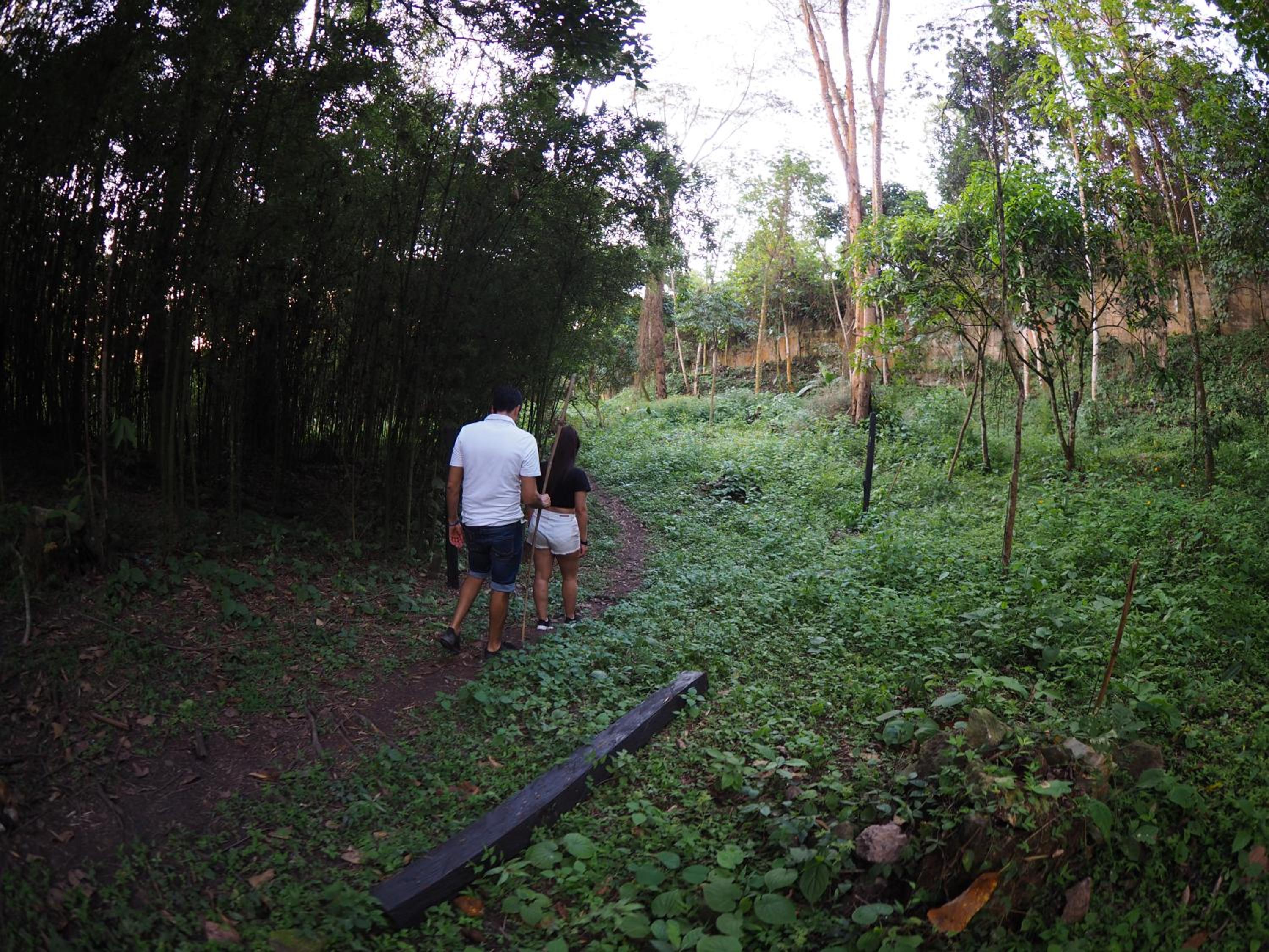 Photo 40