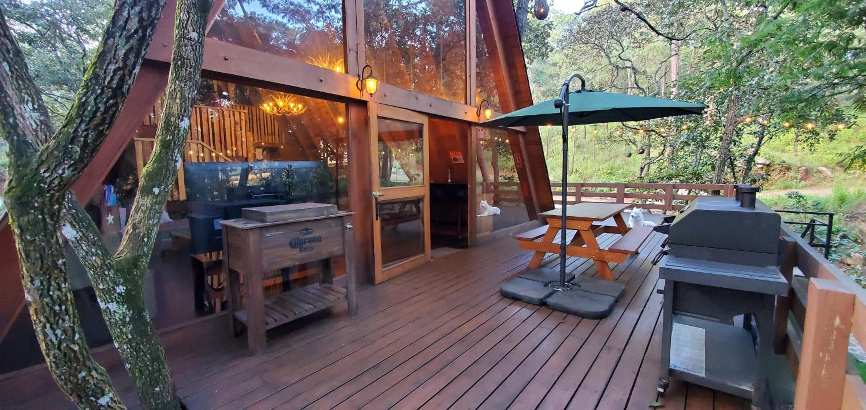¡Increíble Chalet Mágica ! Wood Cabin view 4