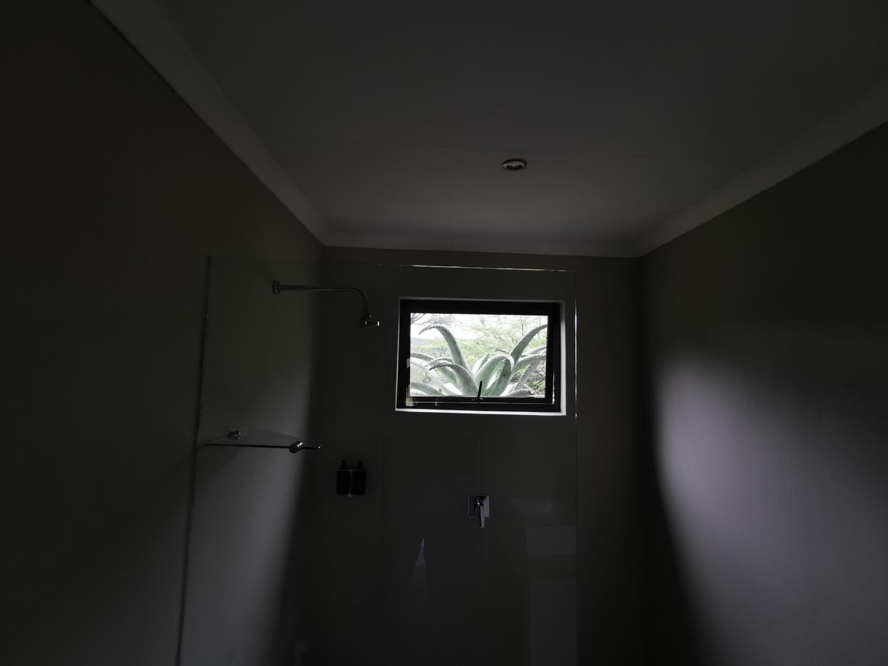Photo 47