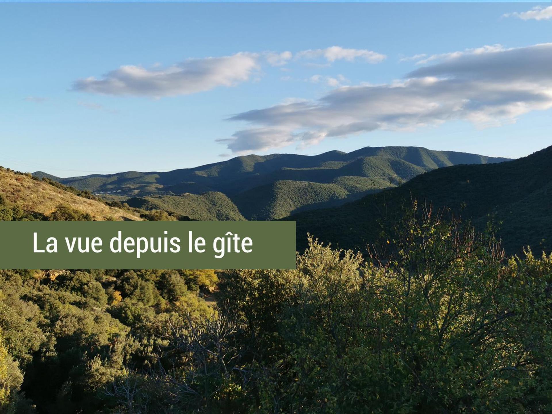 Pyrénées Mon Amour