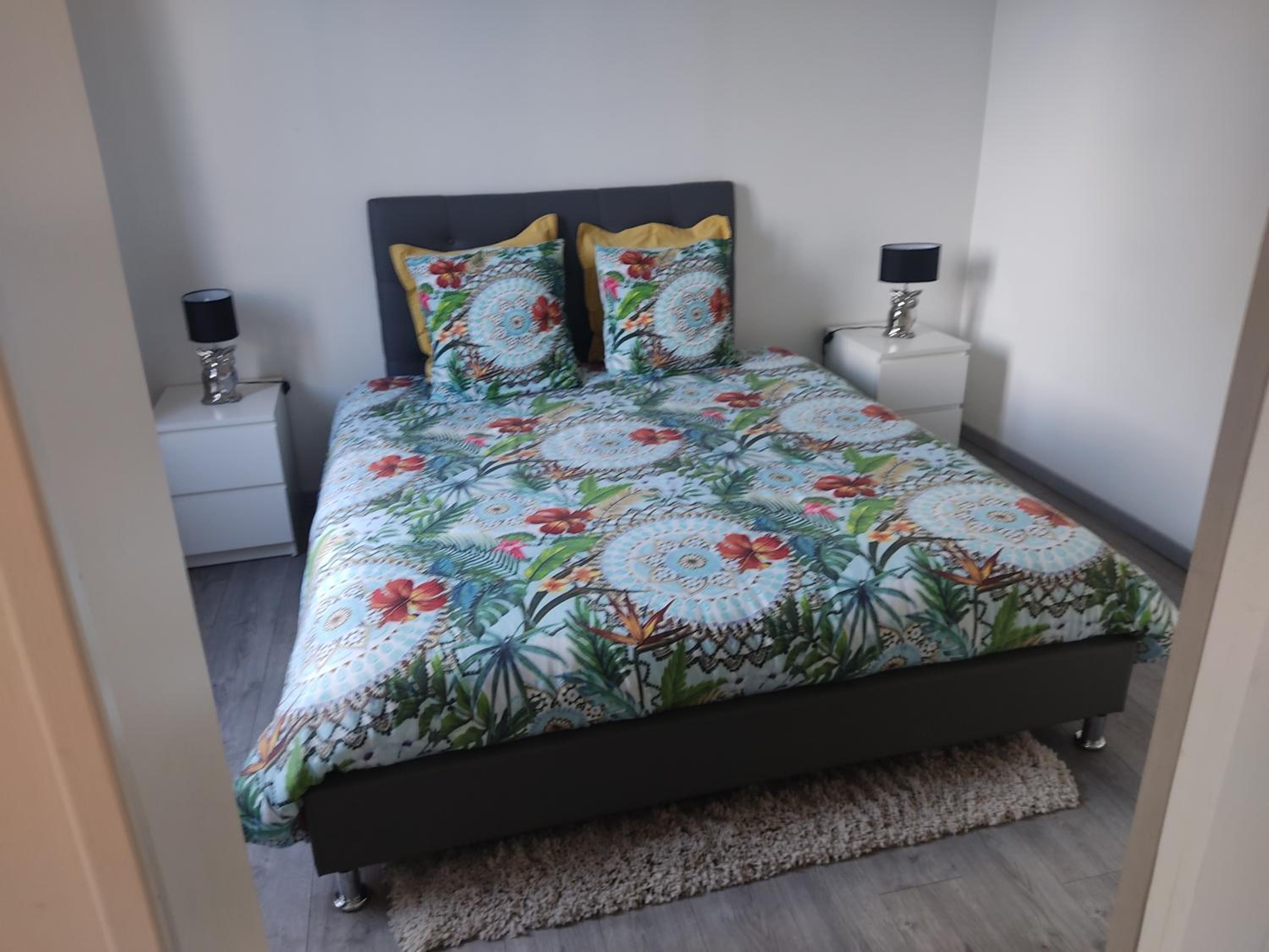 appartement individuelle refais a neuf,ds maison de maître,6 couchages dont un lit kingsize,cuisine avec lave vaisselle,rue privative pour se garer, access
