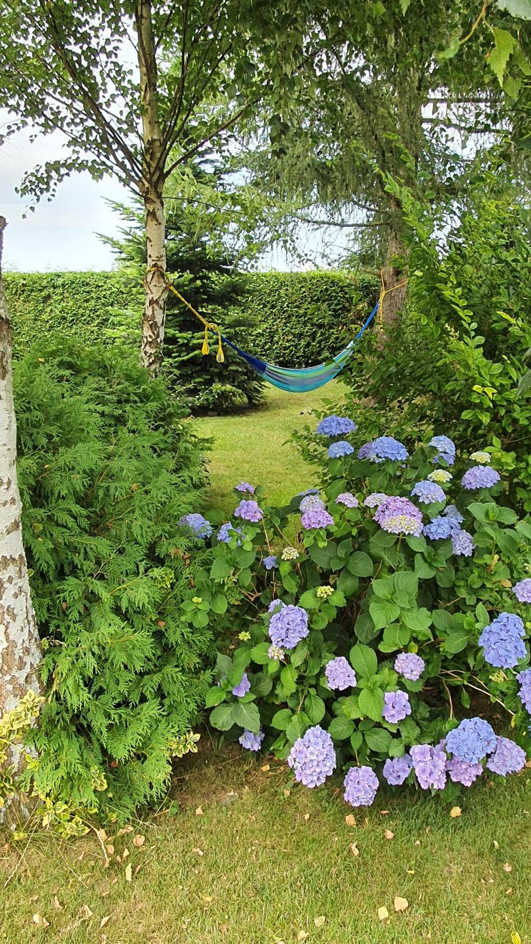 Apartamenty na Bałtyckiej view 3