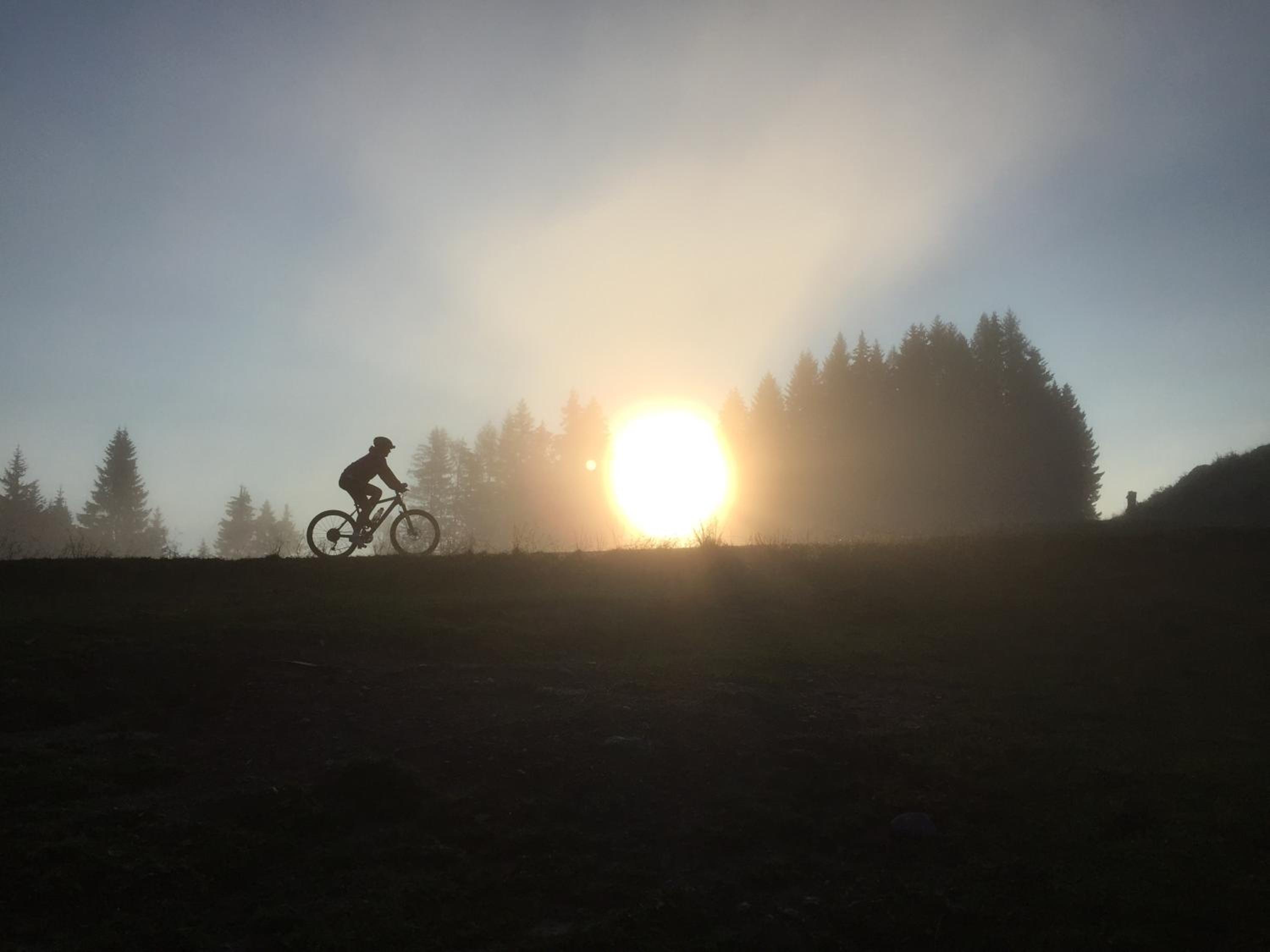 Ferienwohnungen Forellenhof Waldner