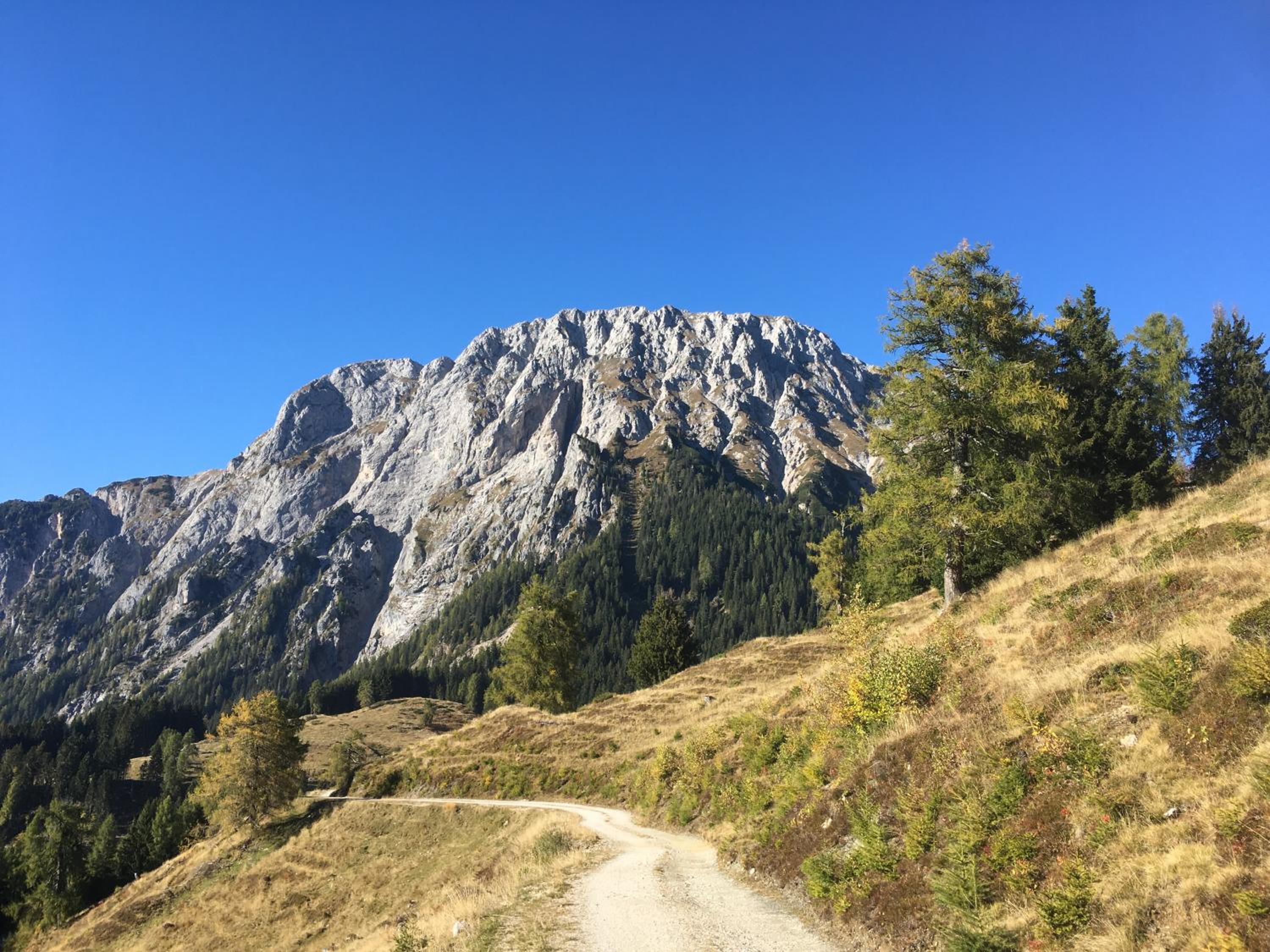 Ferienwohnungen Forellenhof Waldner