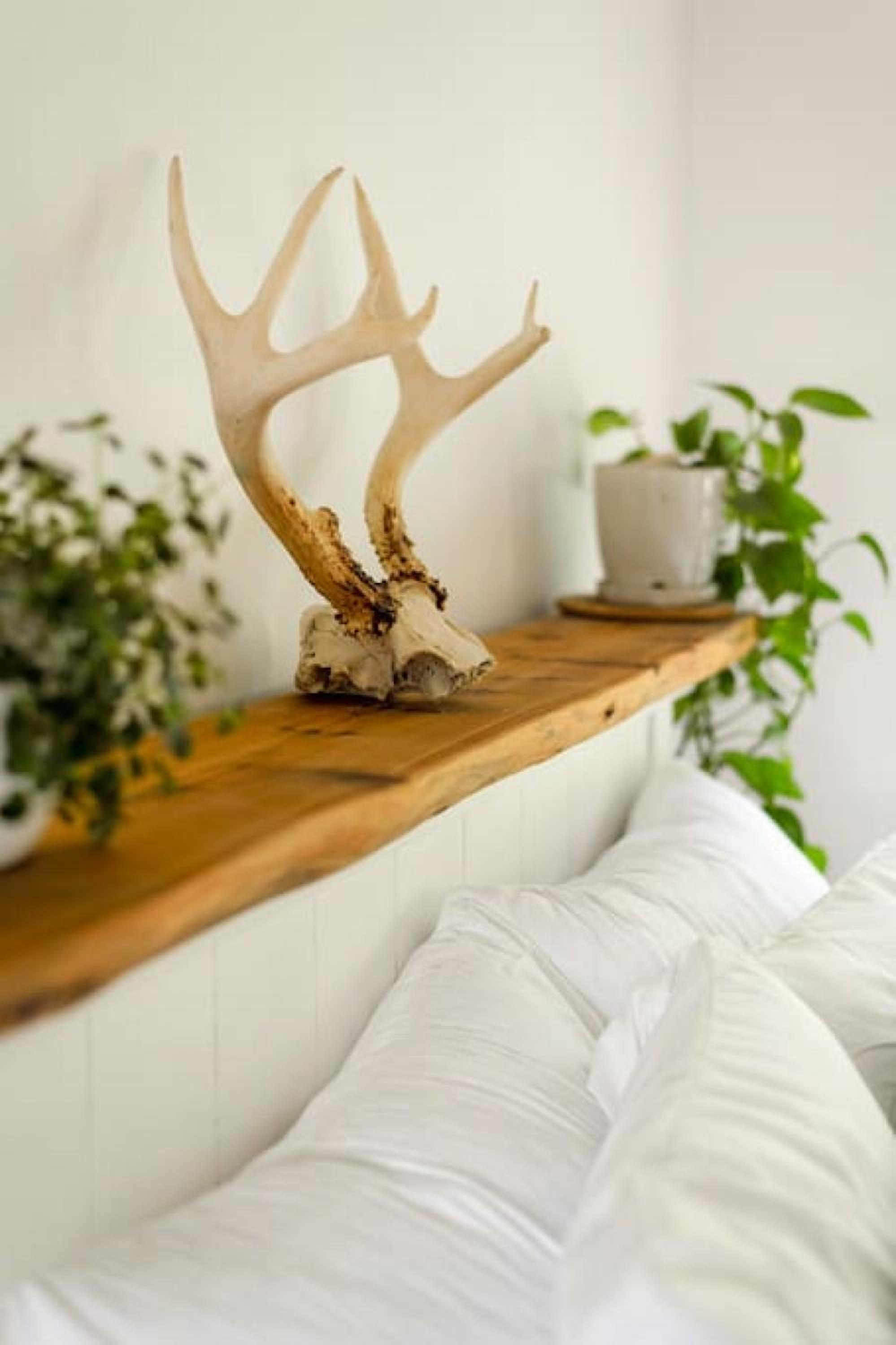 Fern Gully, Coastal Bohemian Loft at Beach