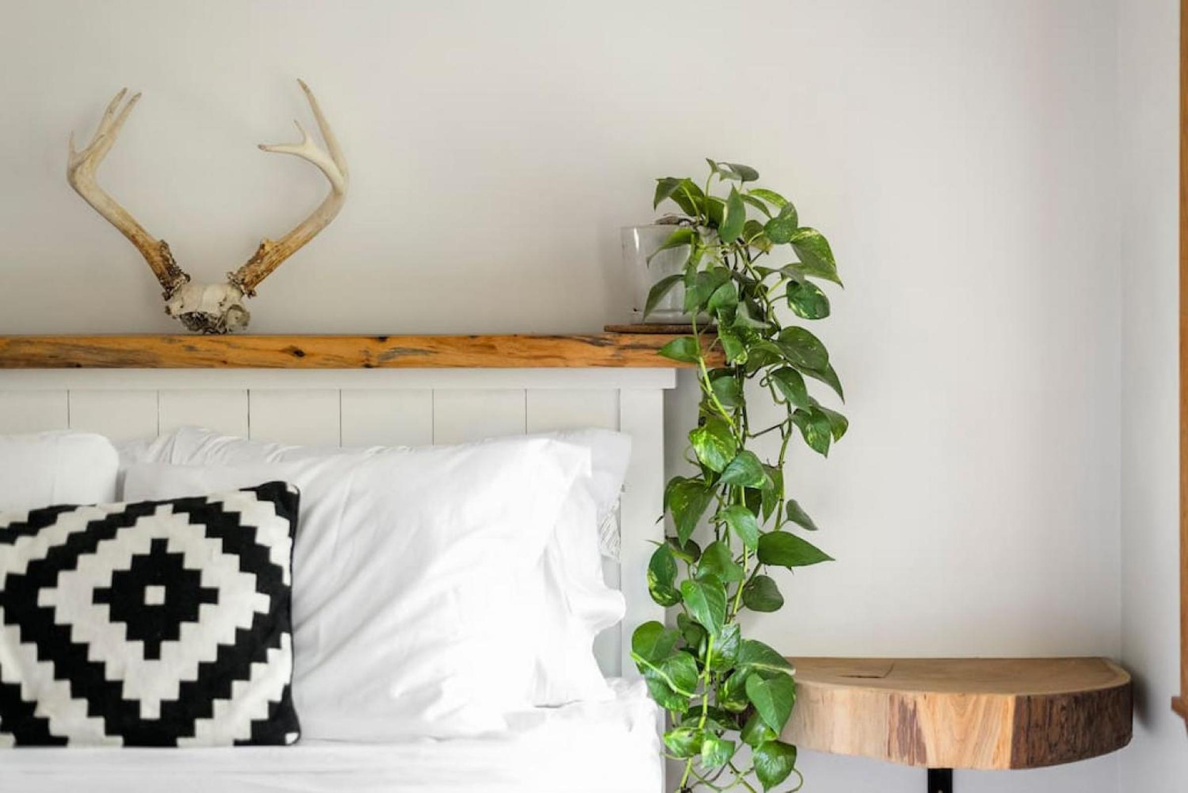 Fern Gully, Coastal Bohemian Loft at Beach