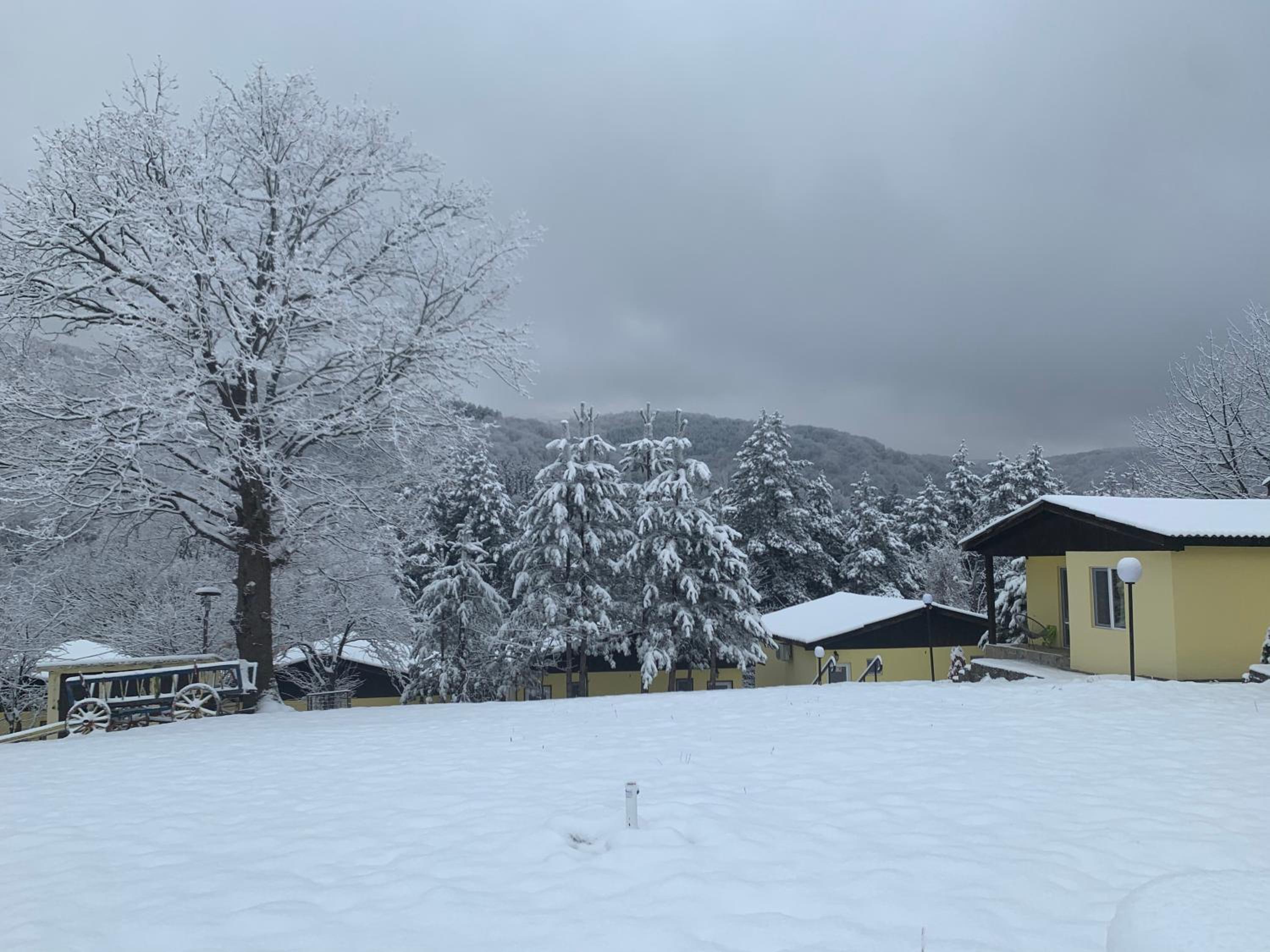 Daskalov Bungalows