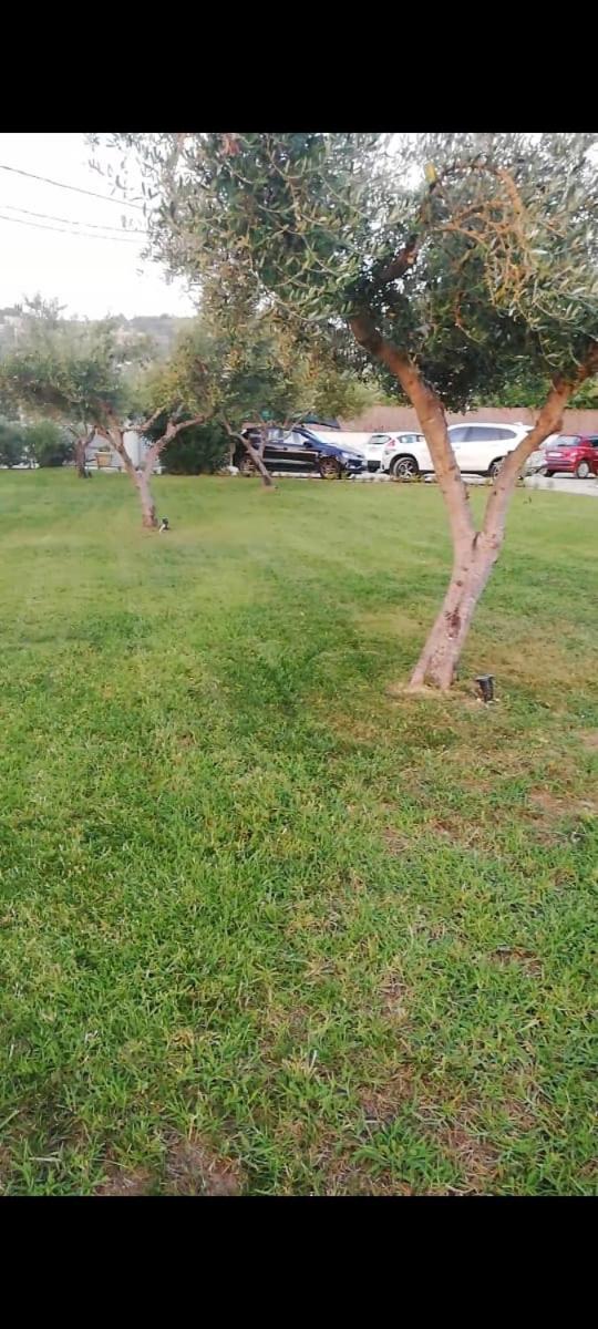 Aloni Studios and Apartments photo 3