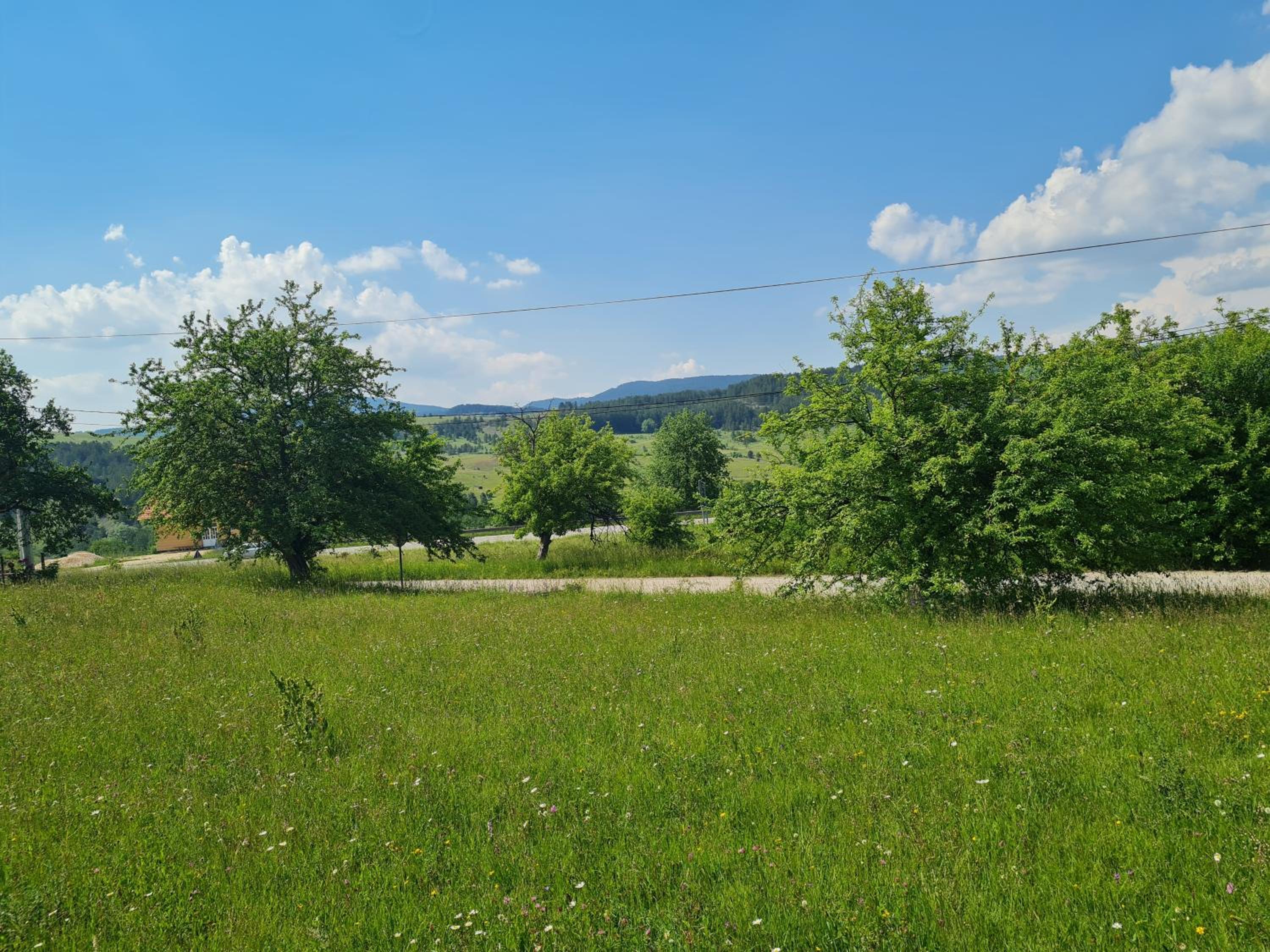 Photo 33