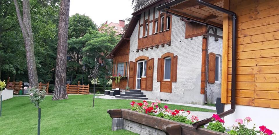 Serce Krynicy view 5