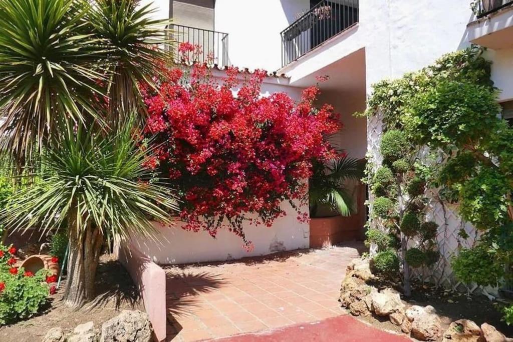 Luxury Apartment in Puerto Banus Free Parking, 100m to Beach & Marina