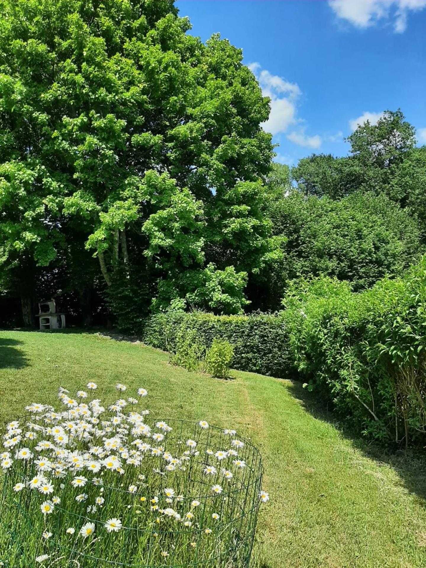 La Maison des Marguerites