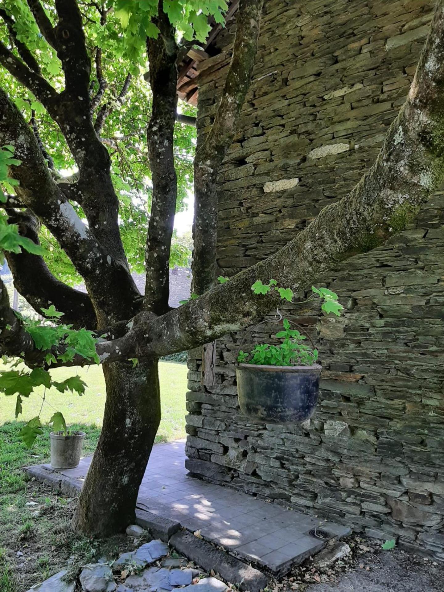 La Maison des Marguerites