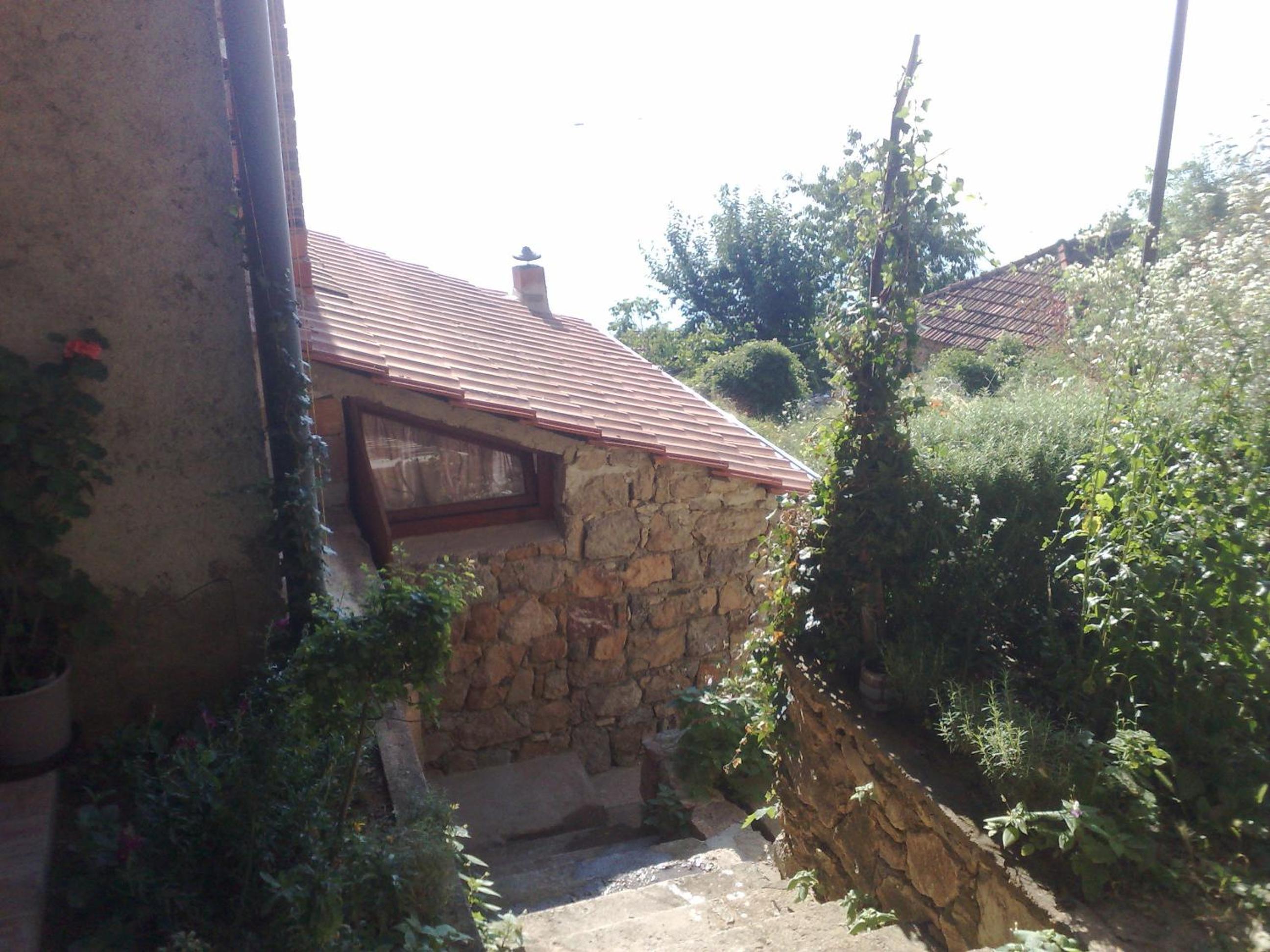 Photo 47