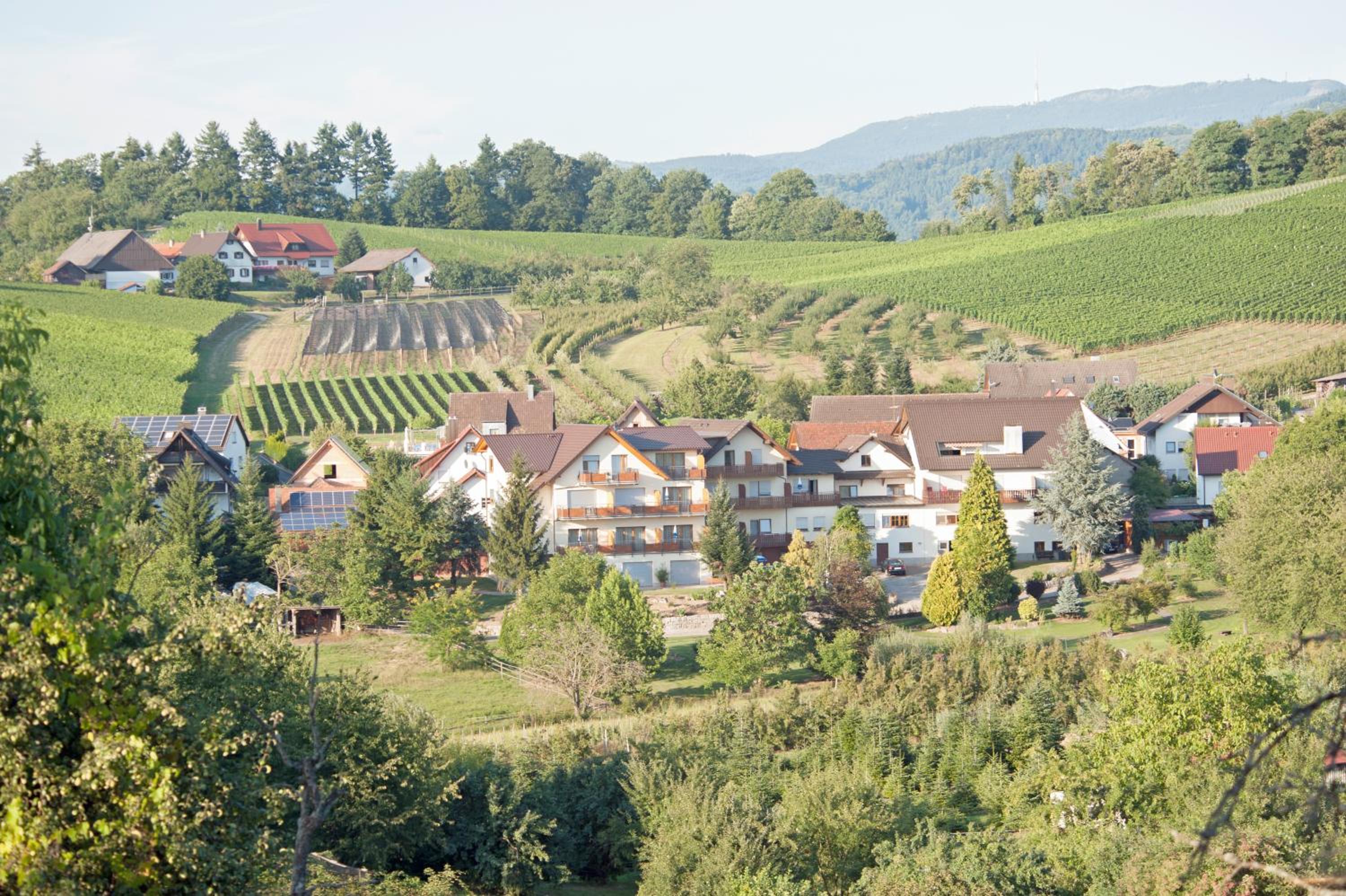 Hotel-Gasthof Rose