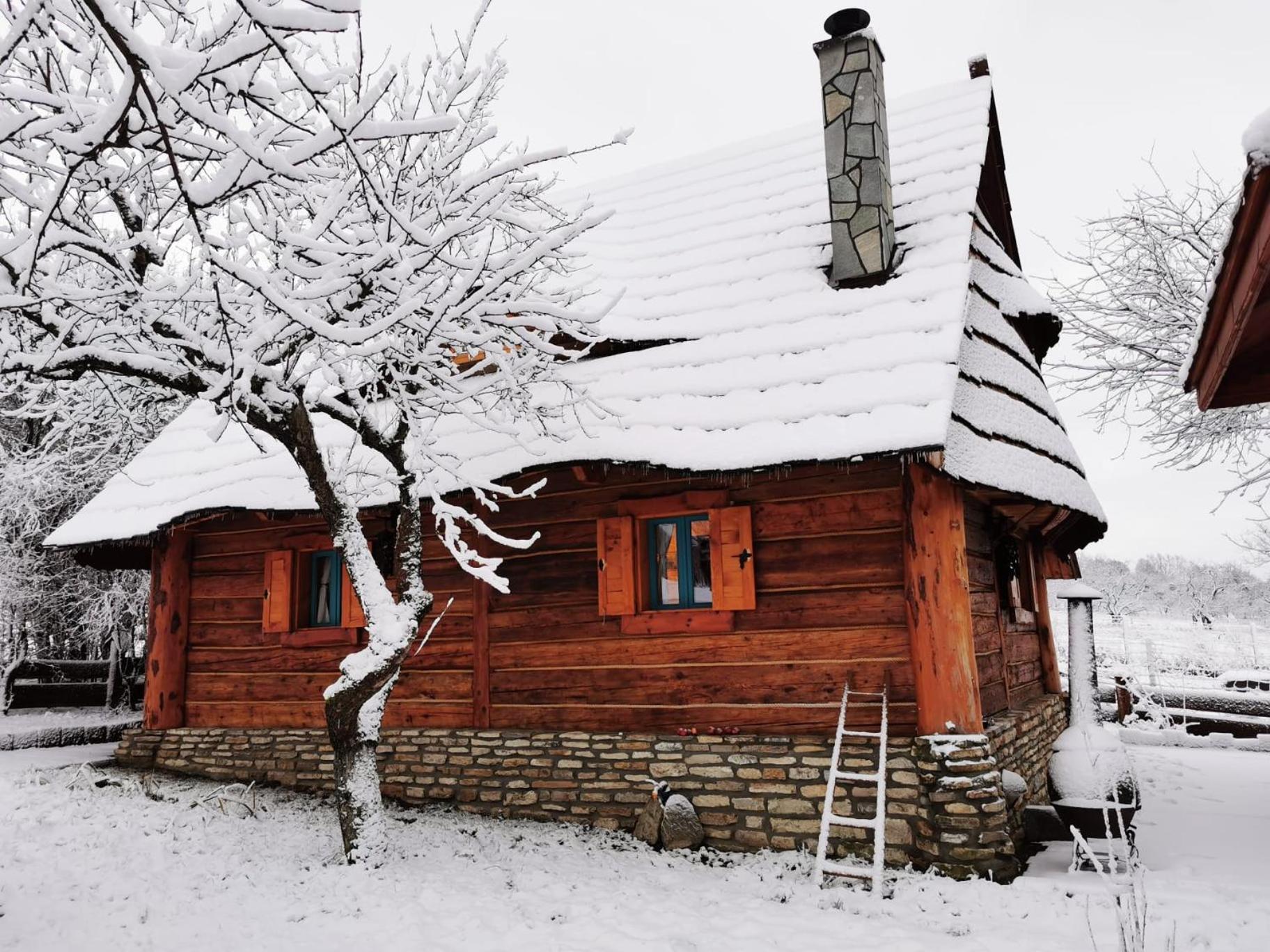 Jabłoniowa Chatka view 4