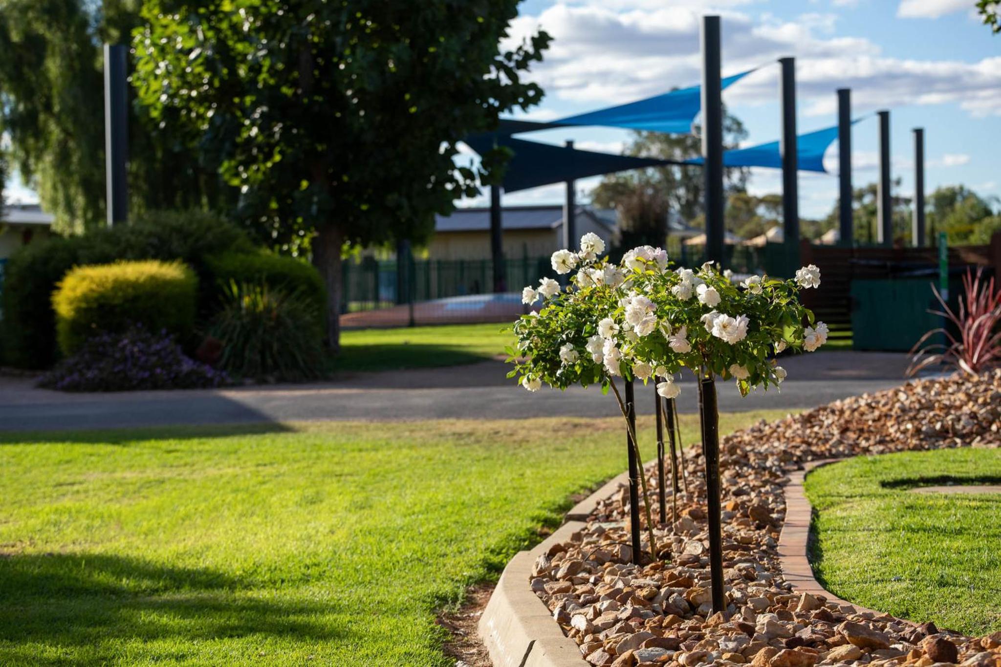 Berri Riverside Holiday Park