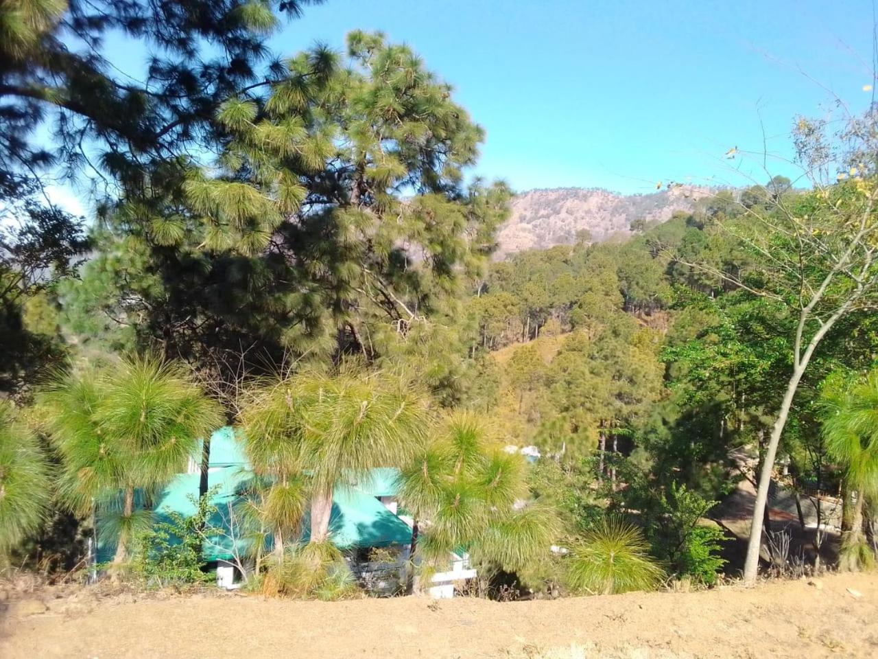 Photo 15
