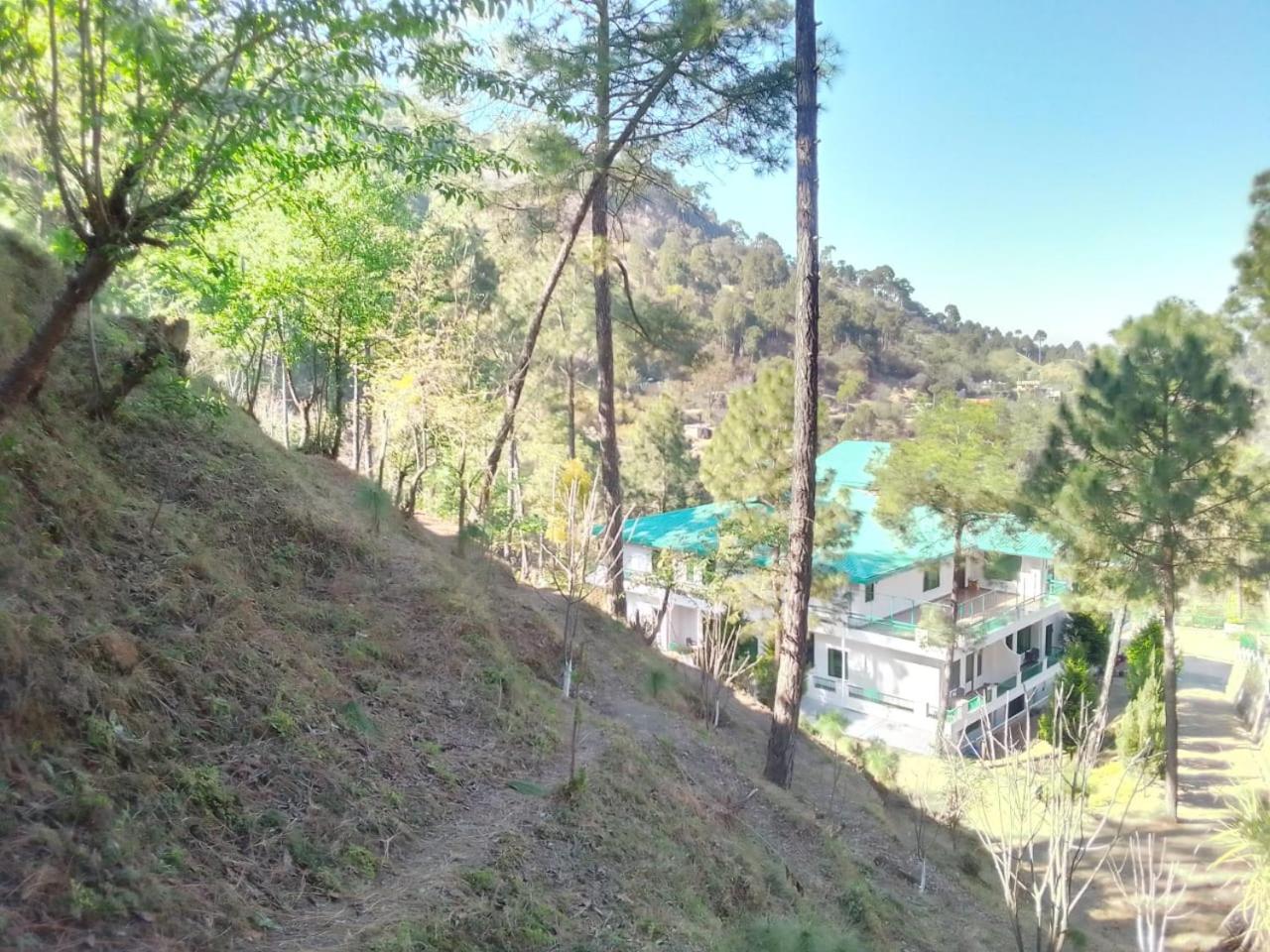 Photo 14