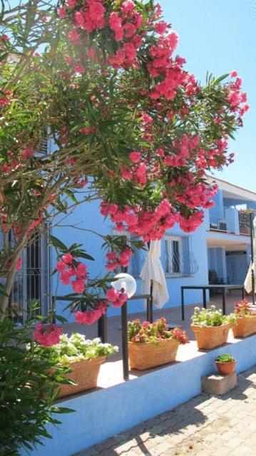 Villa Pischinas en Magomadas