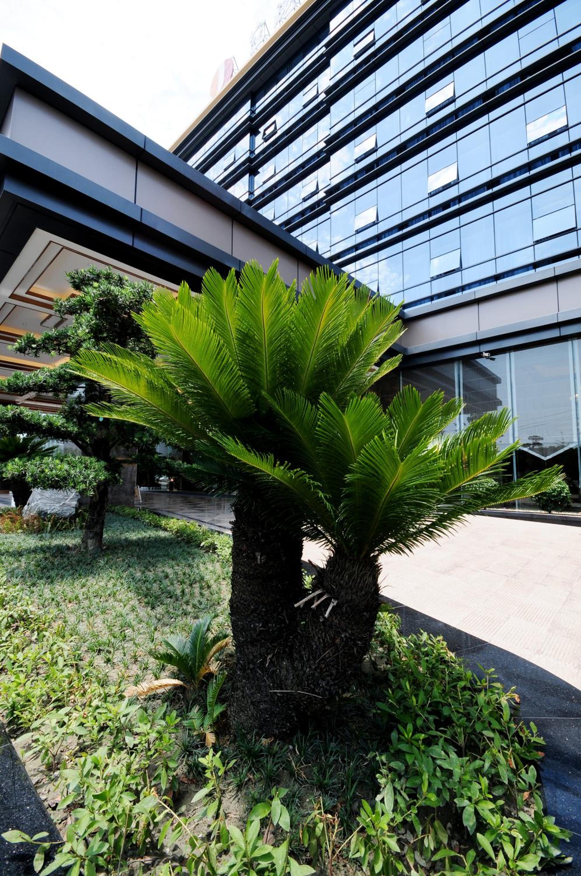 Airport Jianguo Hotel