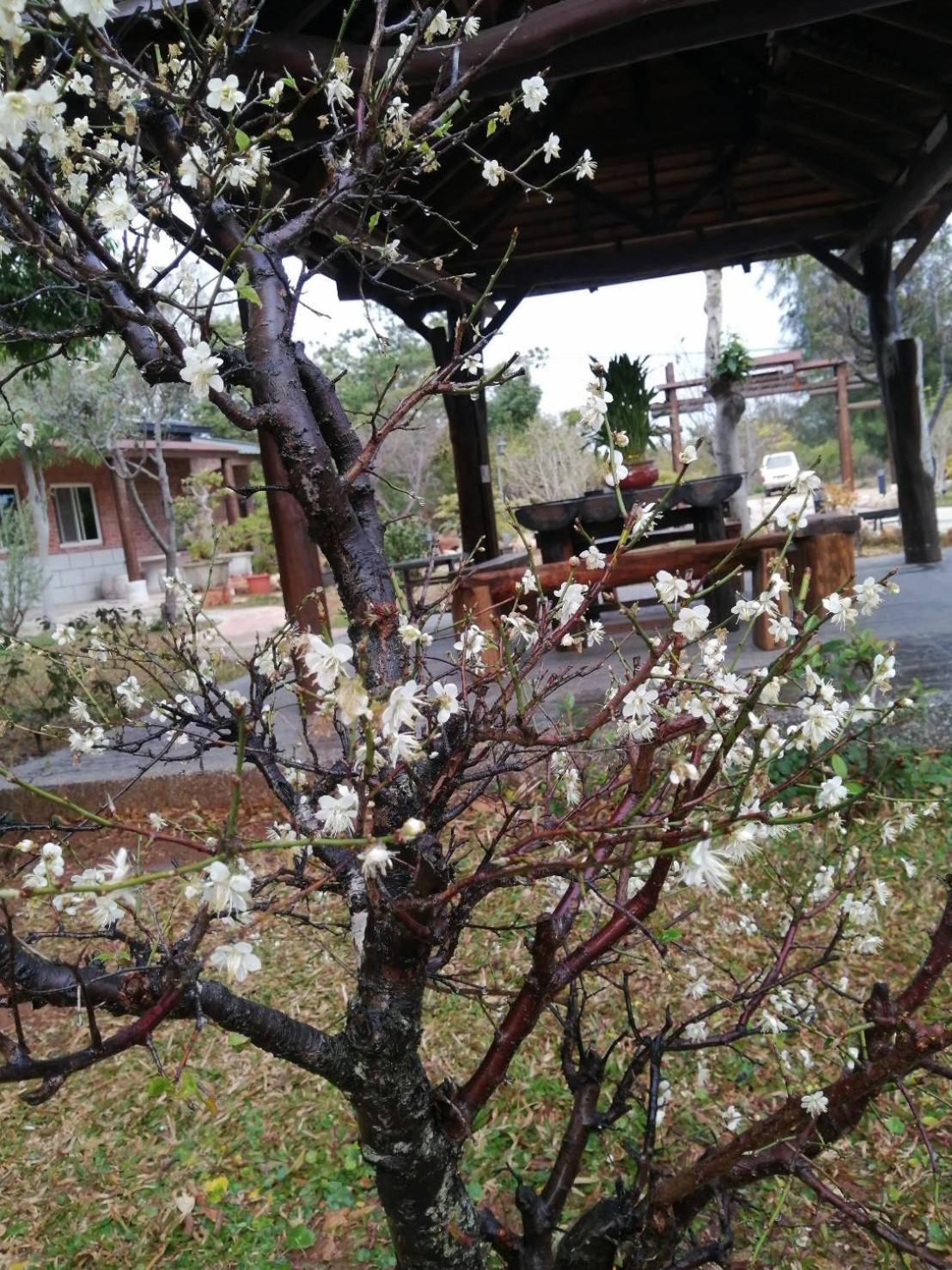 Photo 13