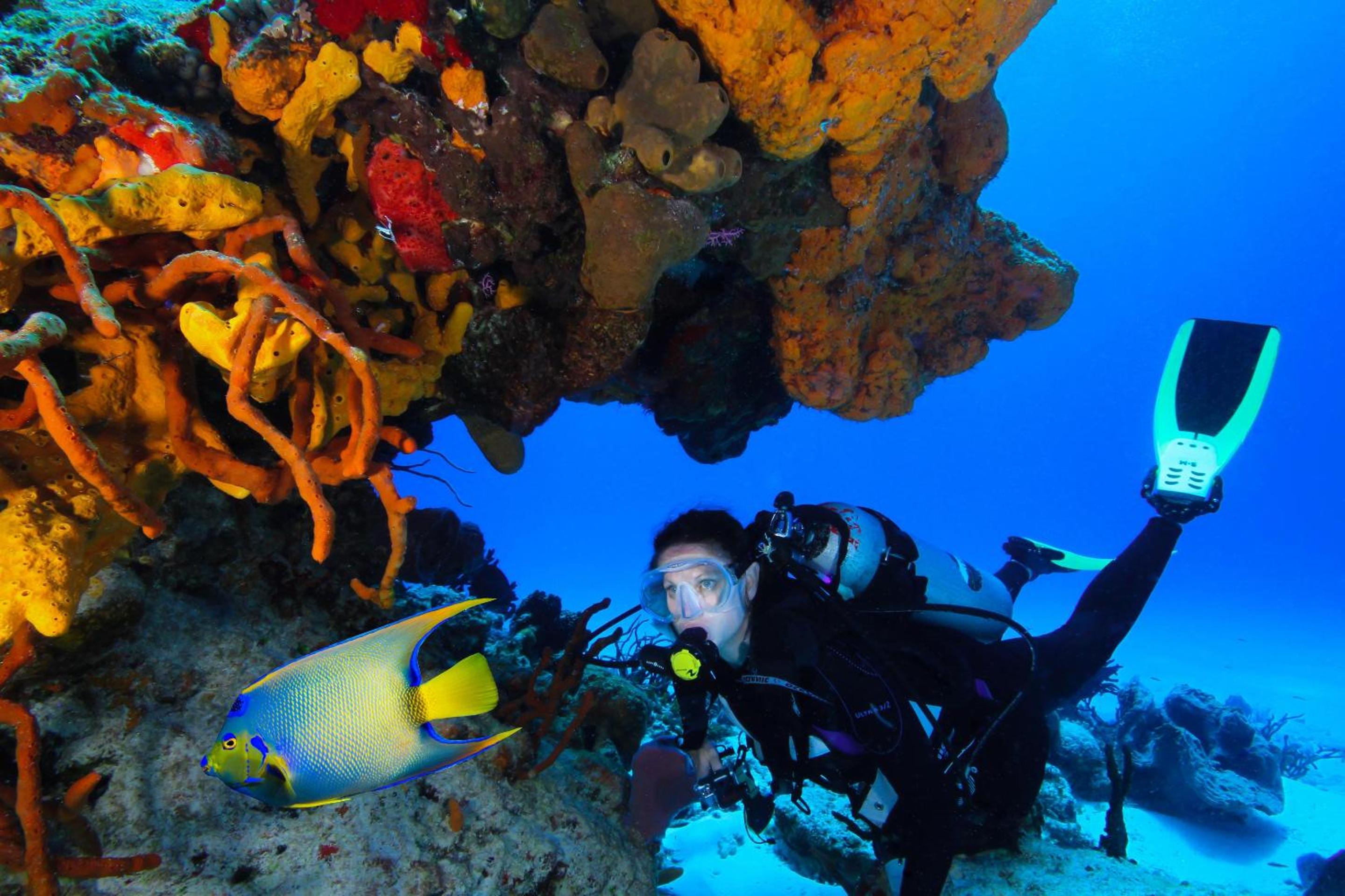 Cozumel Palace-All Inclusive - Property Image 60