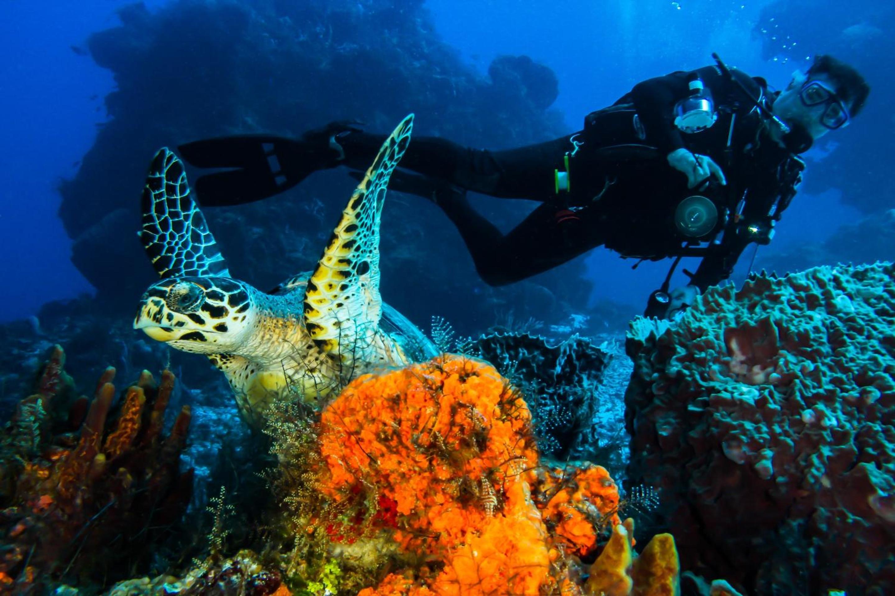 Cozumel Palace-All Inclusive - Property Image 59