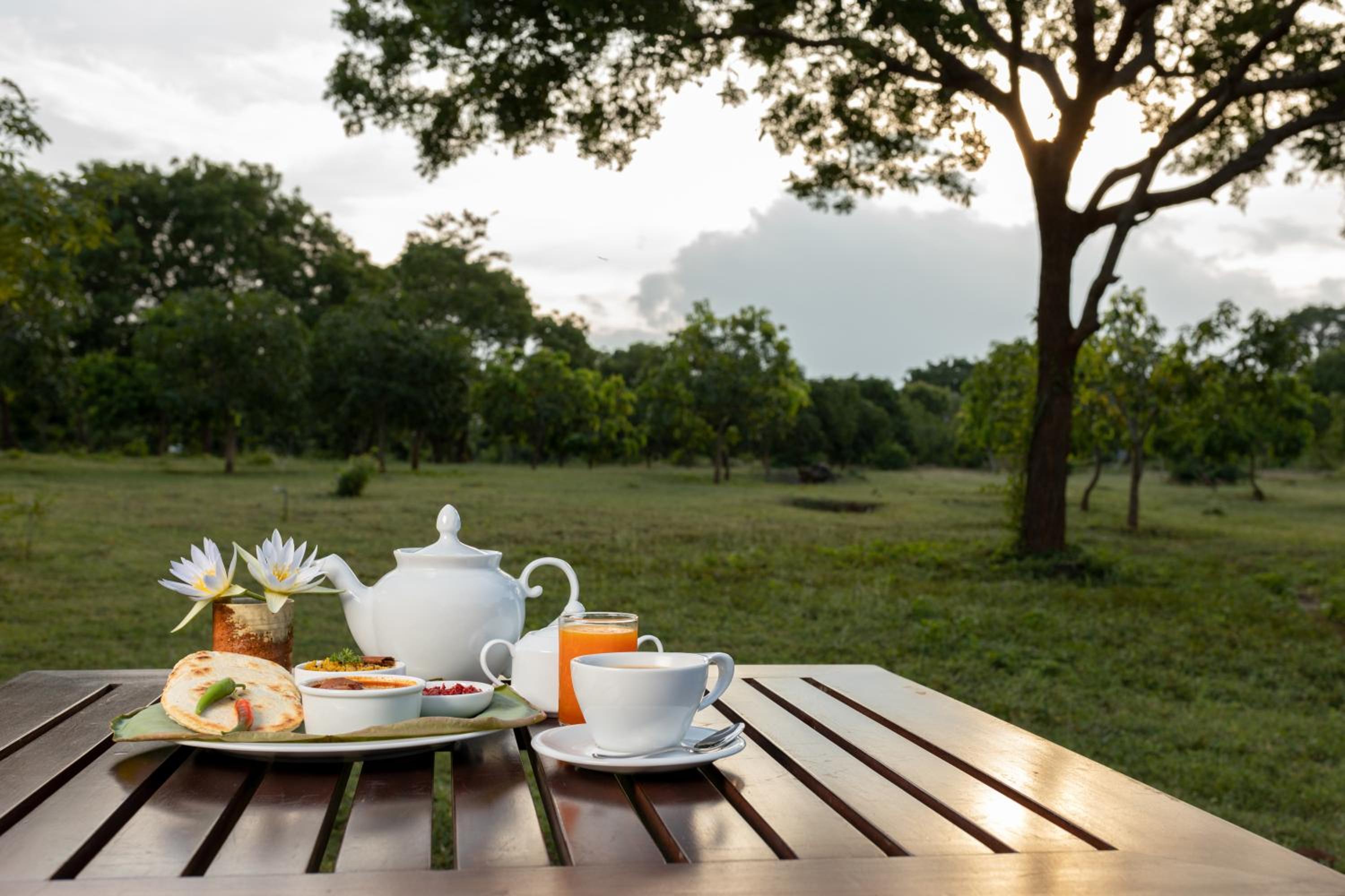 Koragaha Lodge - Yala