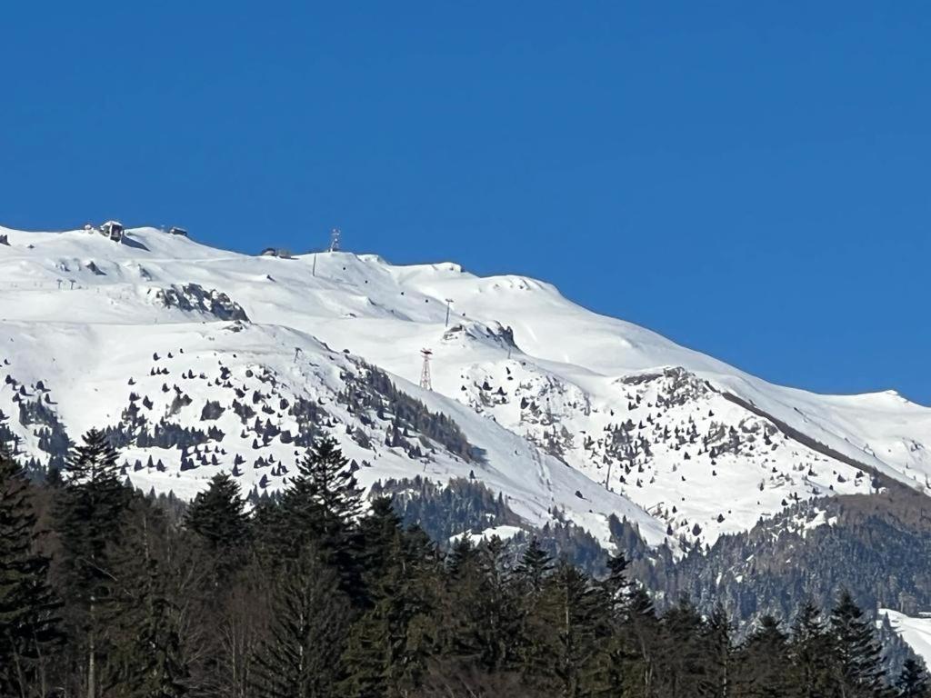 Coca Apart Mountain View view 5