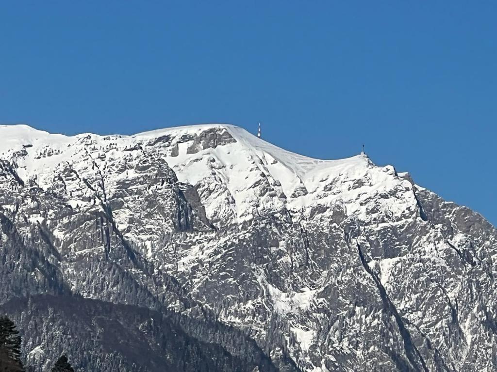Coca Apart Mountain View view 4
