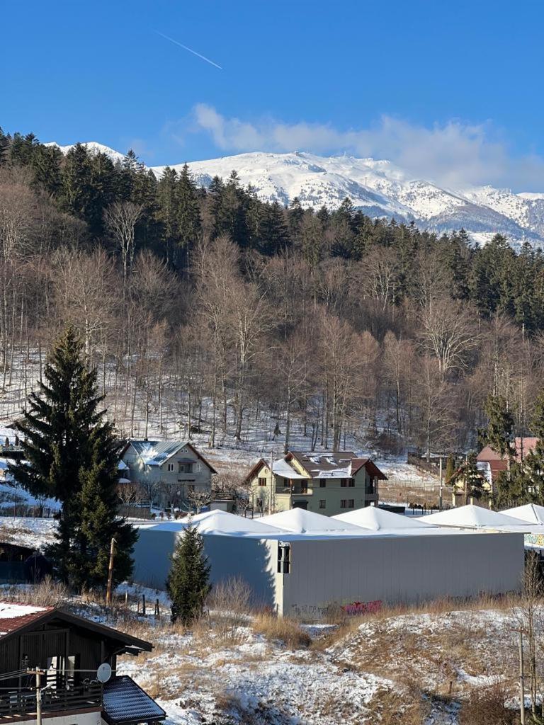 Photo 34