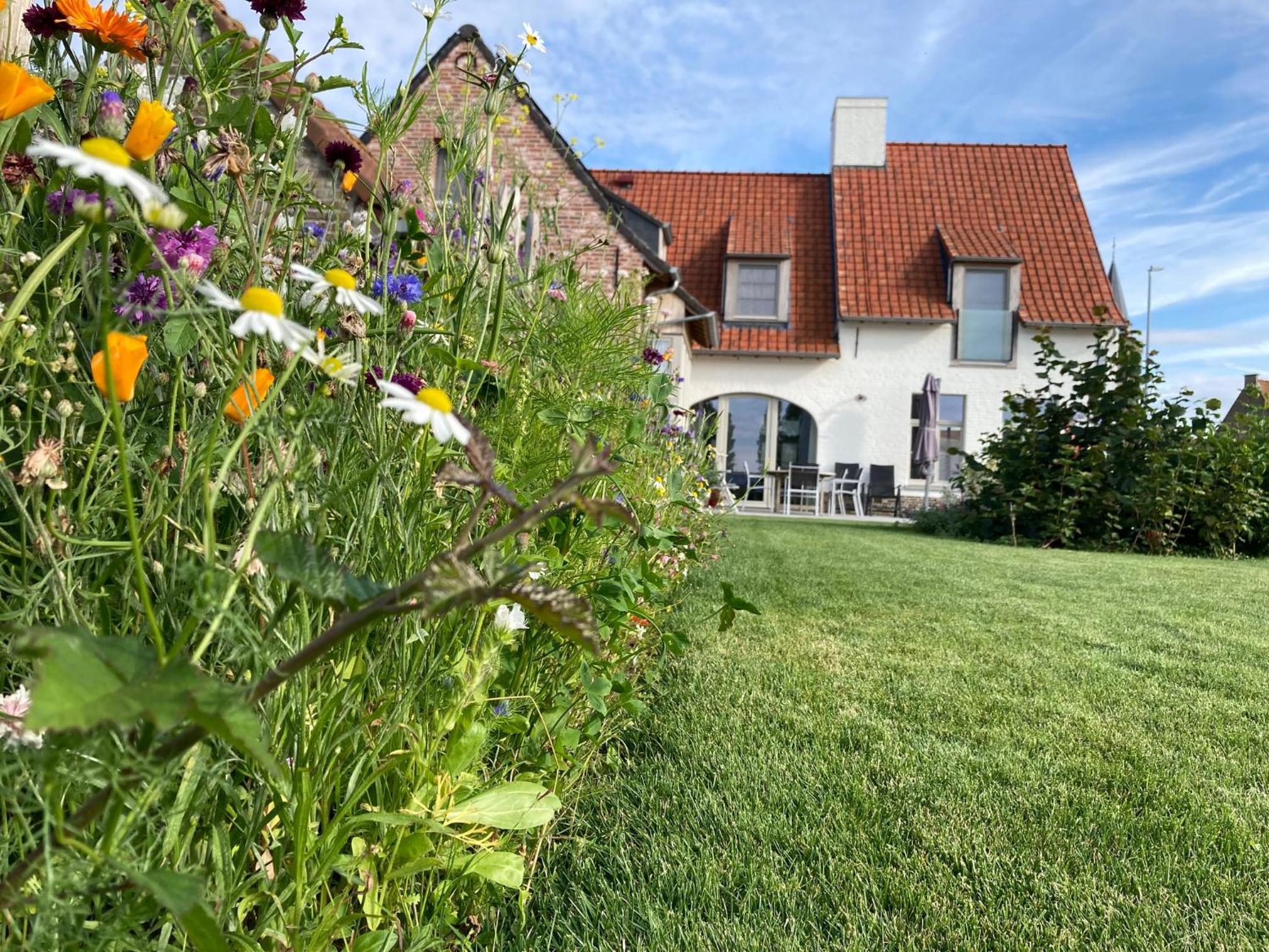 B&B Waterput 1
