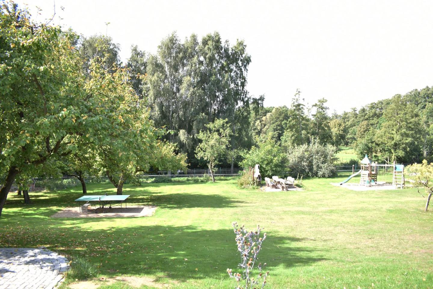 Photo 29