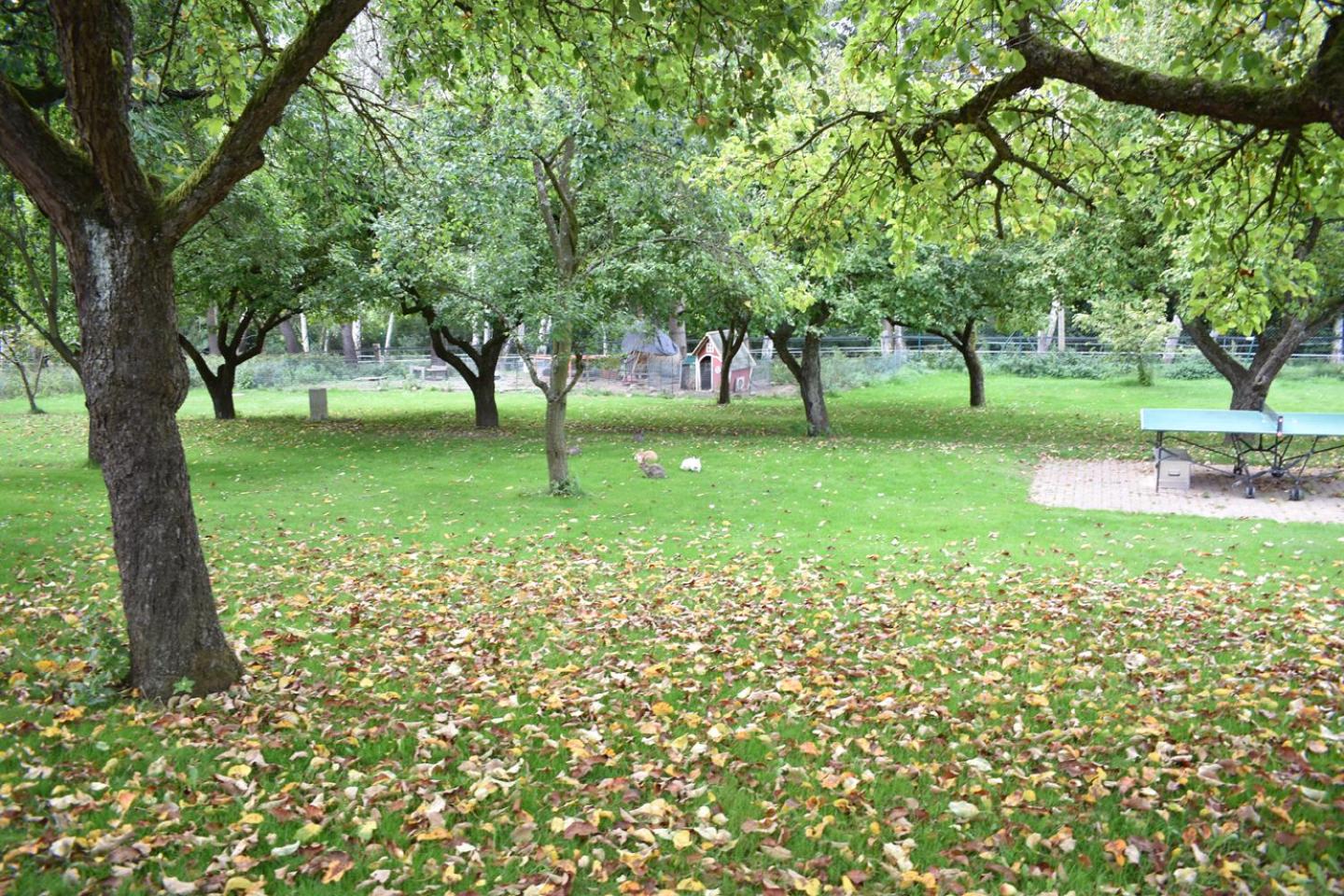 Photo 26