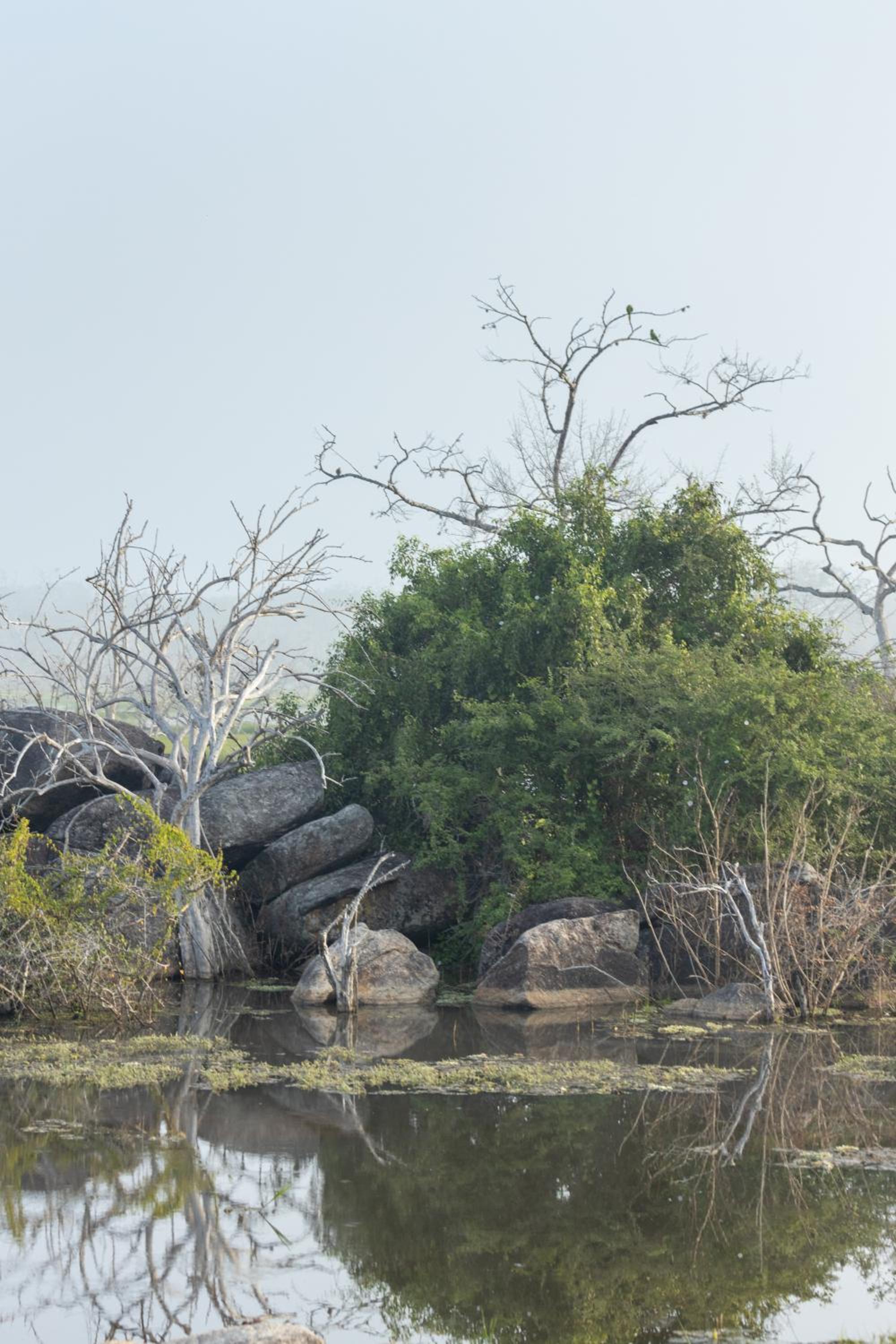 Koragaha Lodge - Yala