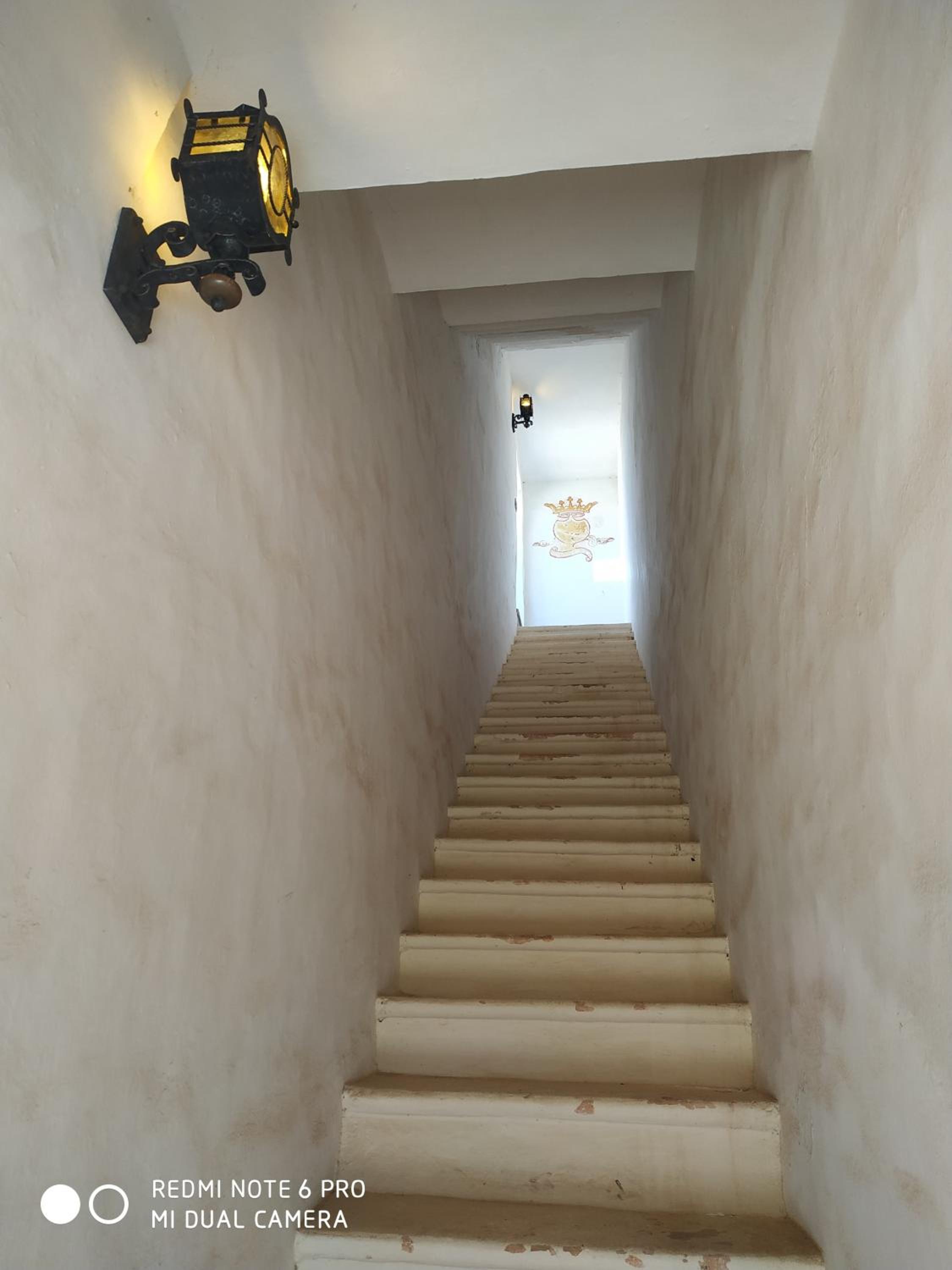 Photo 49