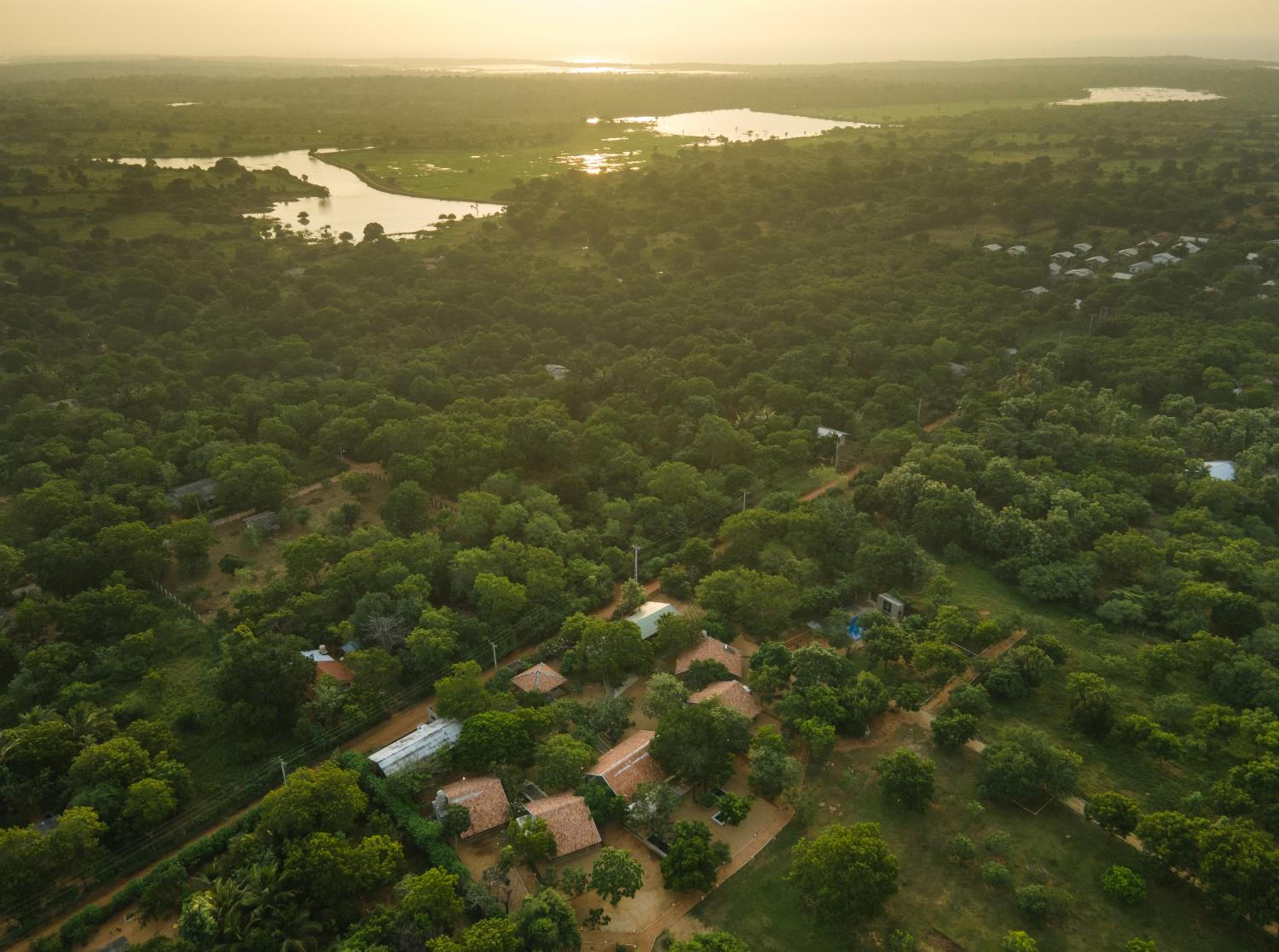 Koragaha Lodge - Yala