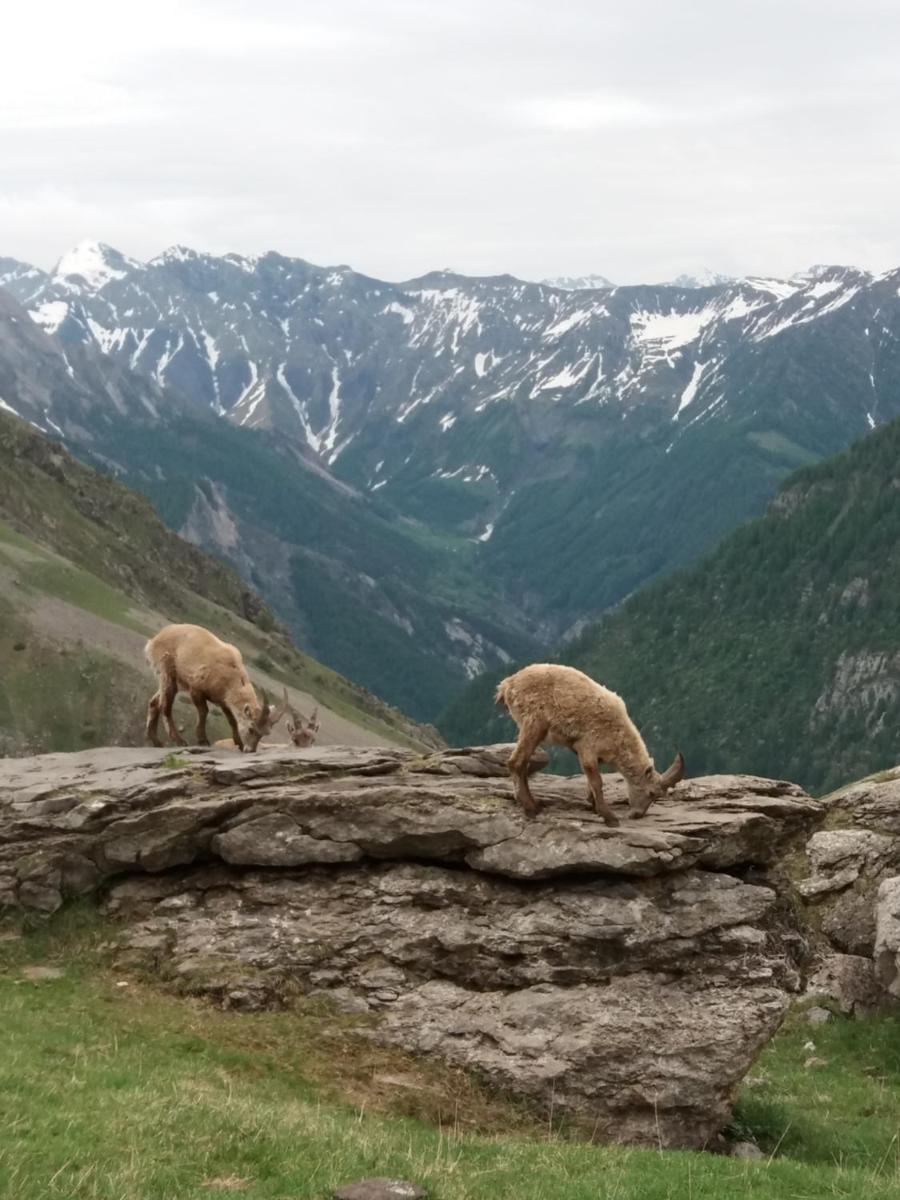 Vacances a la montagne - Property Image 6