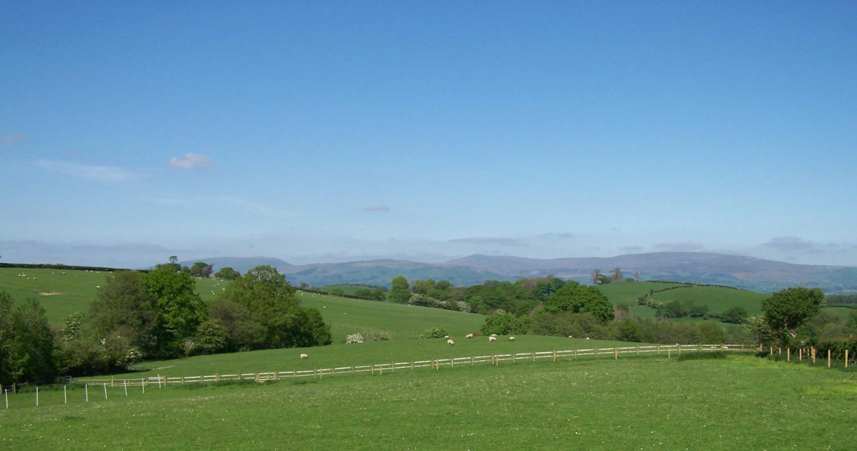 Locka Old Hall Cottage view 3