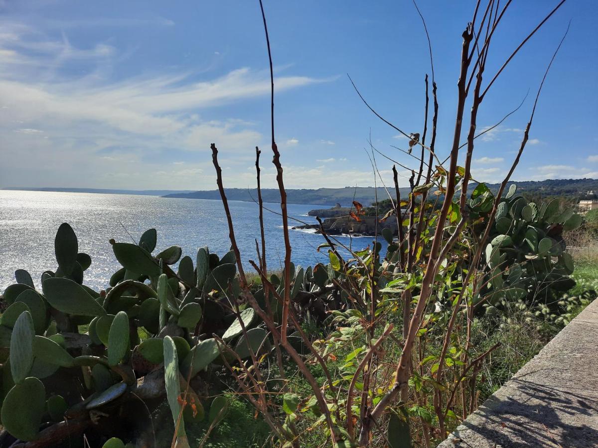 The Terrace view 2