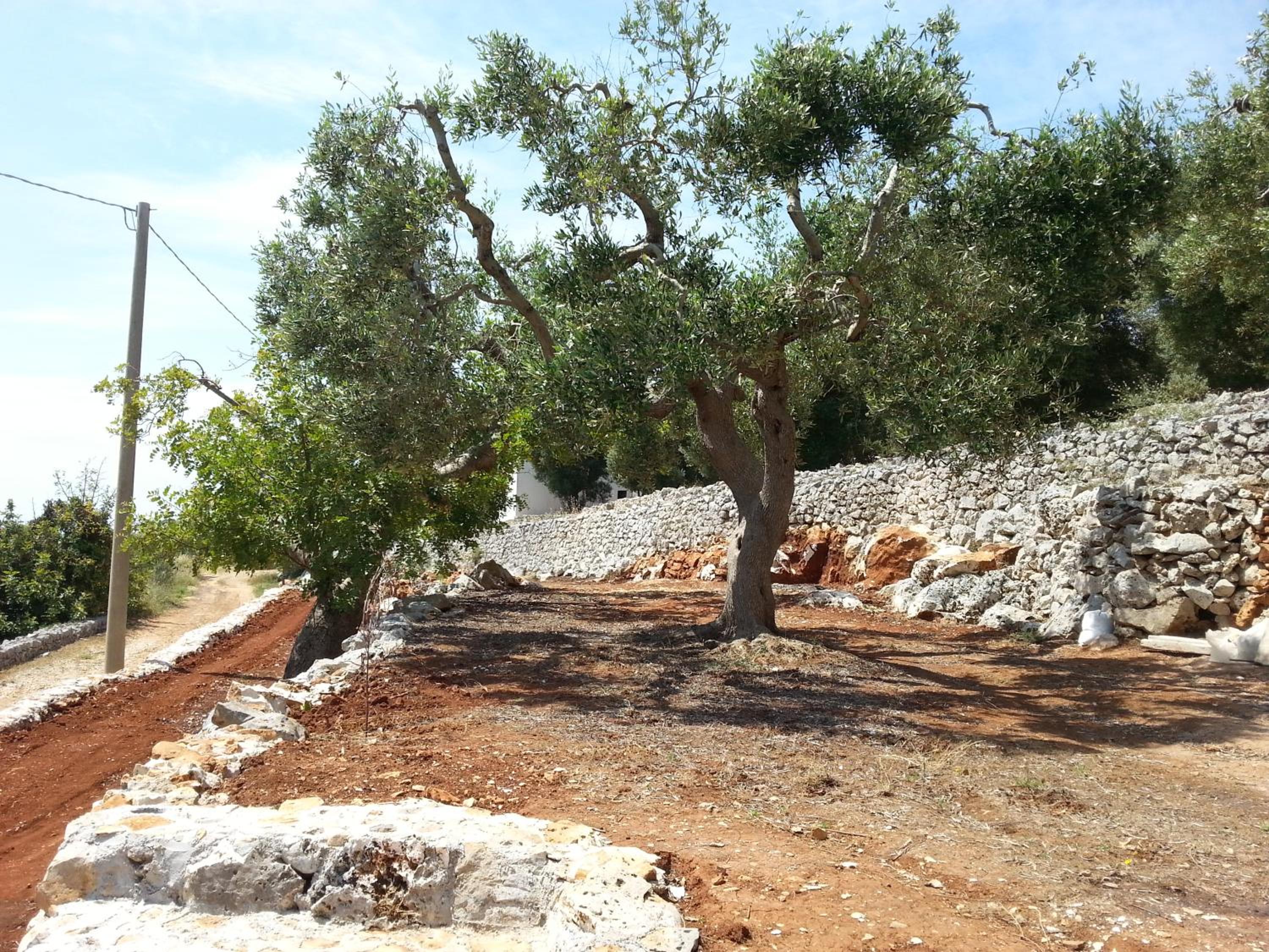 Photo 30