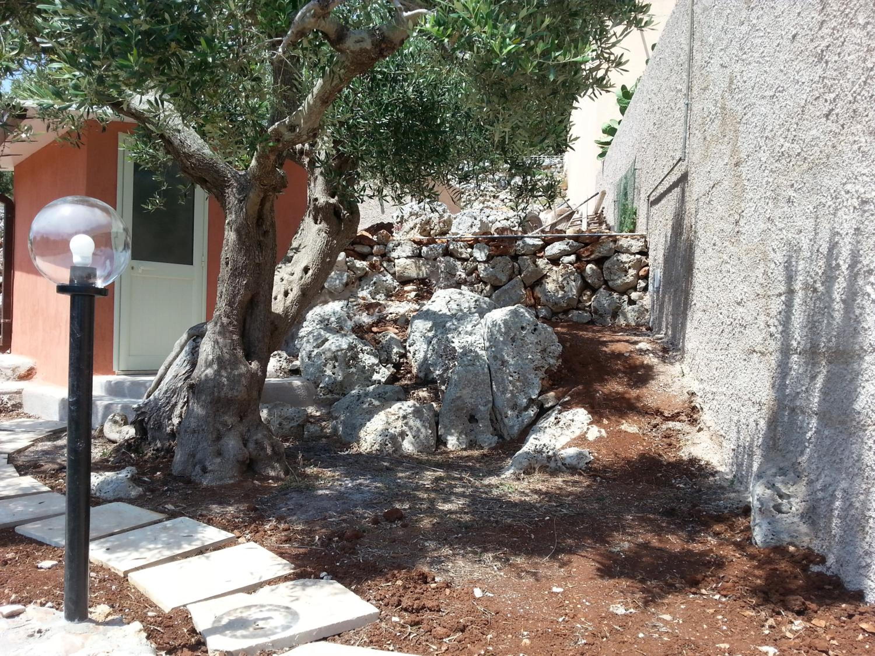Photo 24