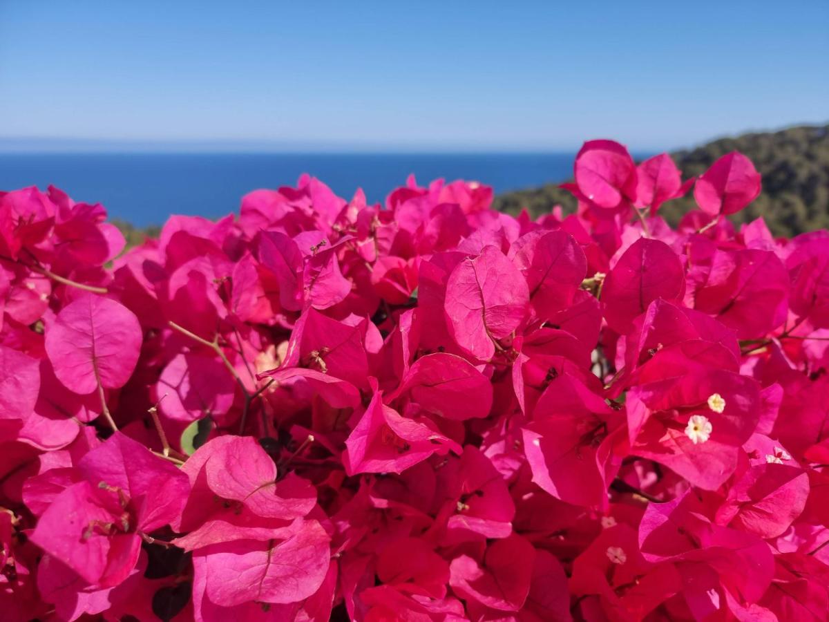 Your Paradise at Costa Brava photo 4