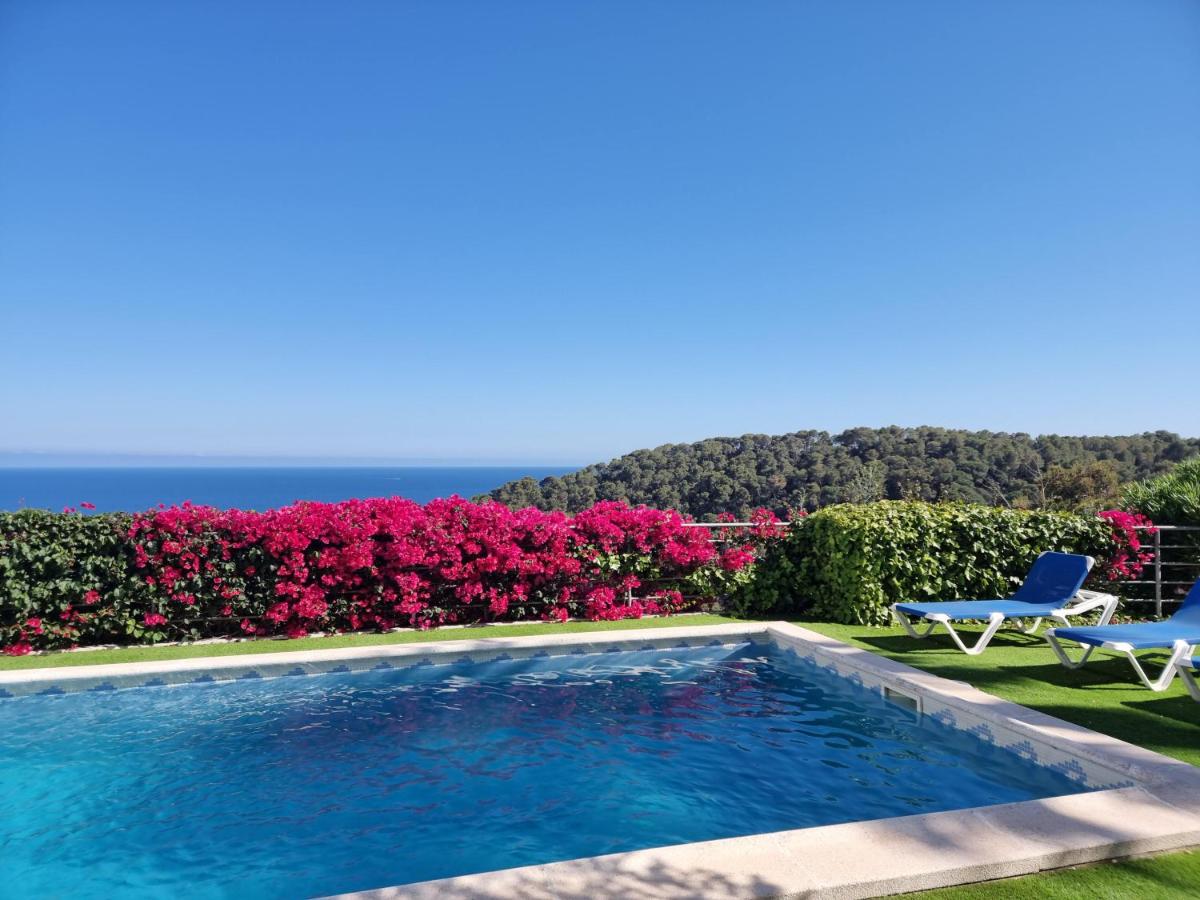 Your Paradise at Costa Brava photo 3