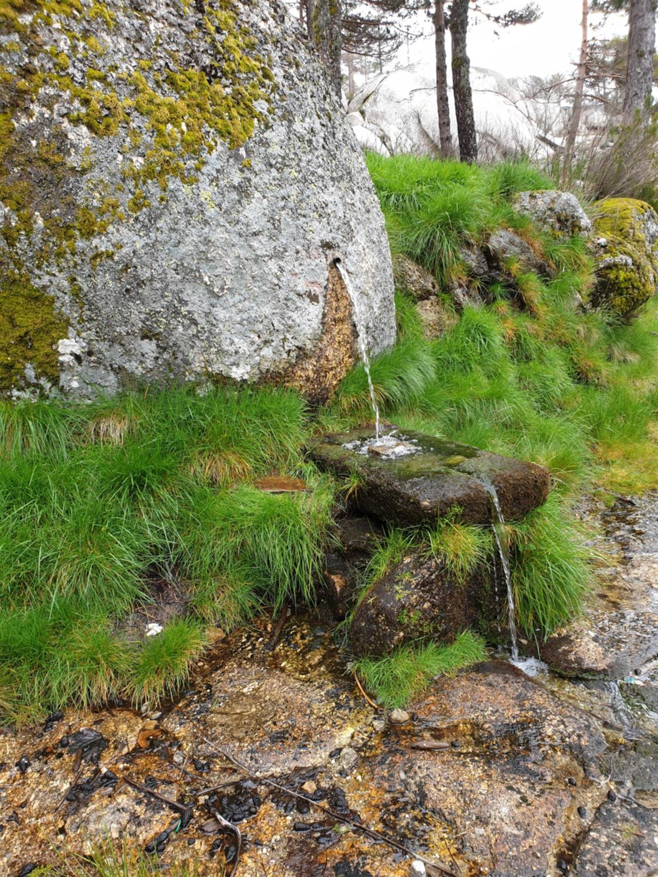 Photo 46