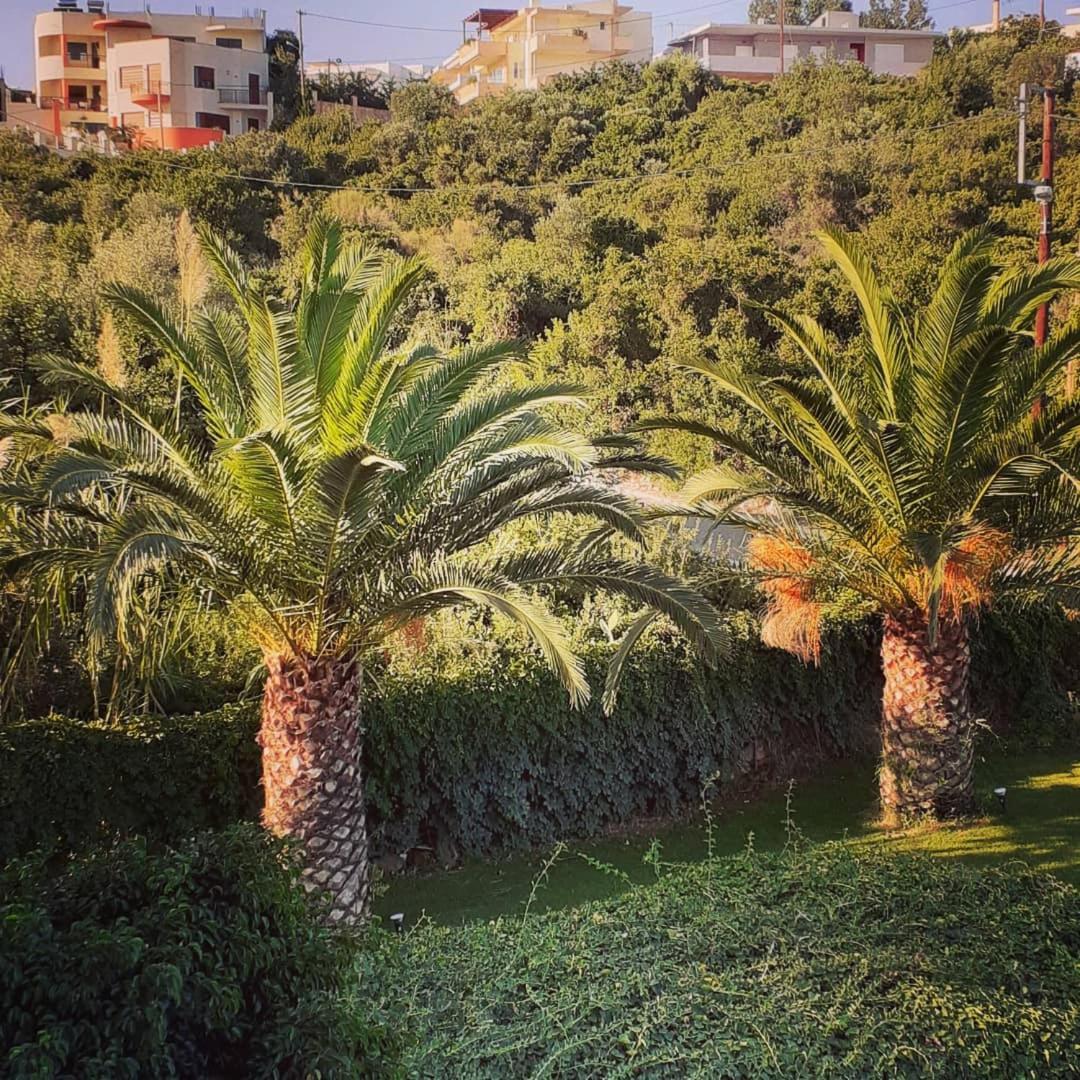 Marvellous flat in villa ZINA view 4
