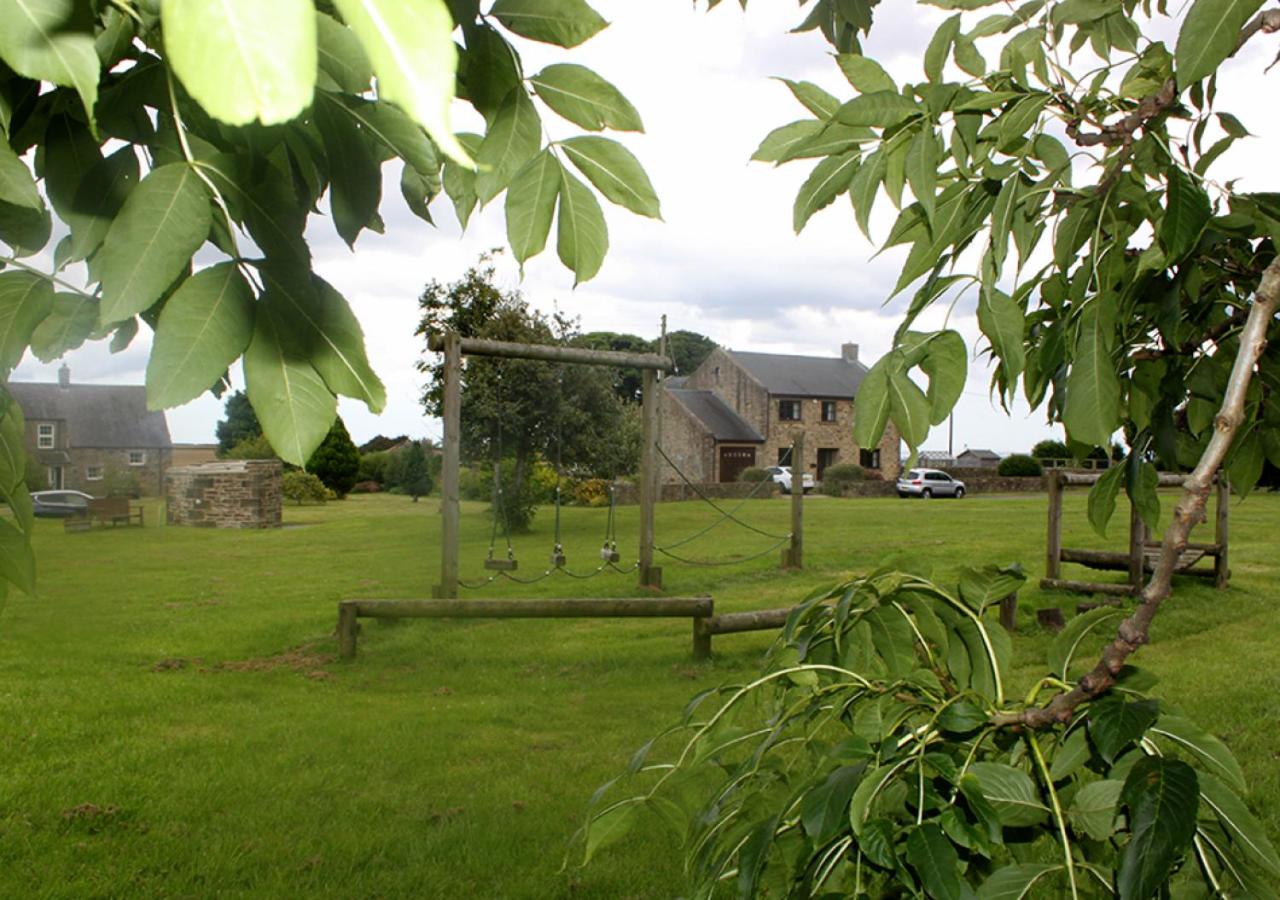 Photo 25