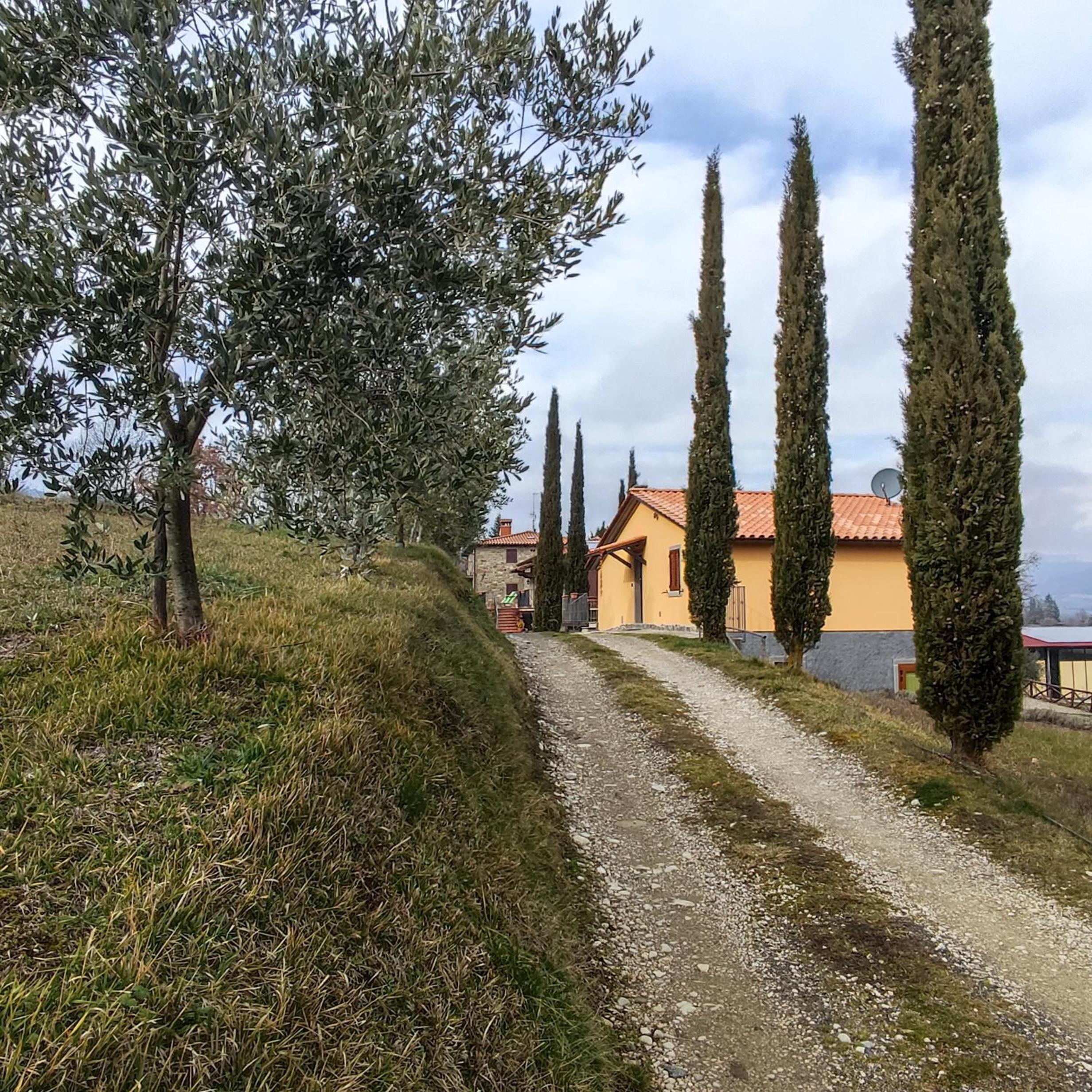 Agriturismo La Casina
